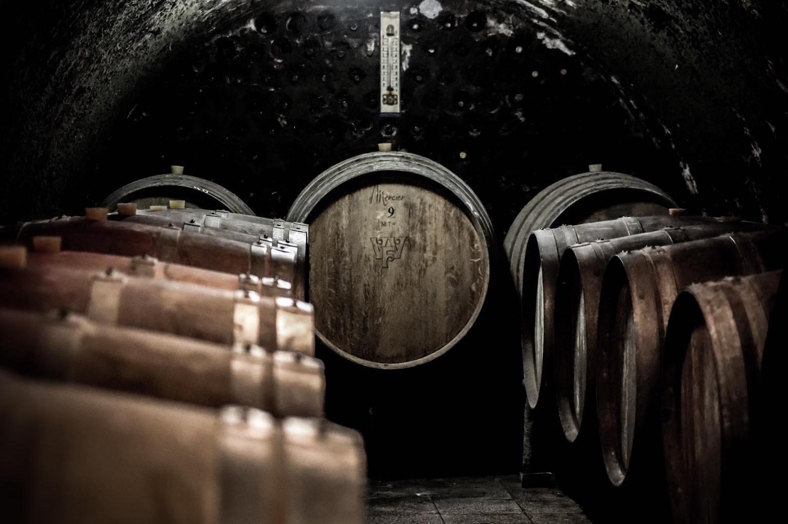 Vinařství Fridrich Vracov