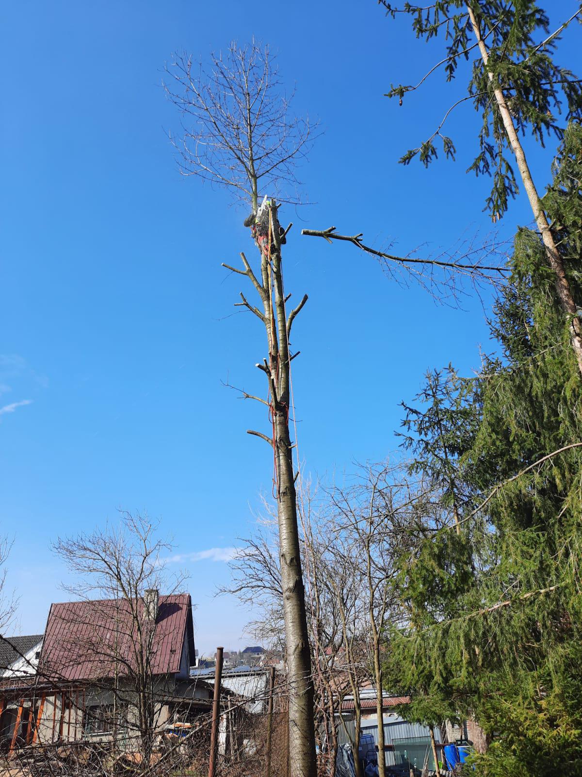 Radek Košatka foto 3