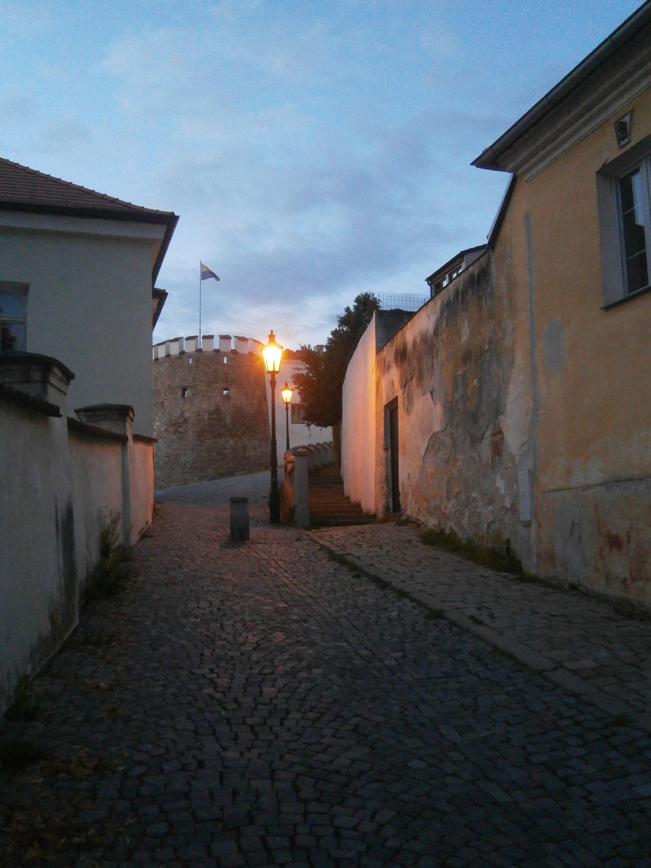 Restaurace U Zlatého býka foto 4