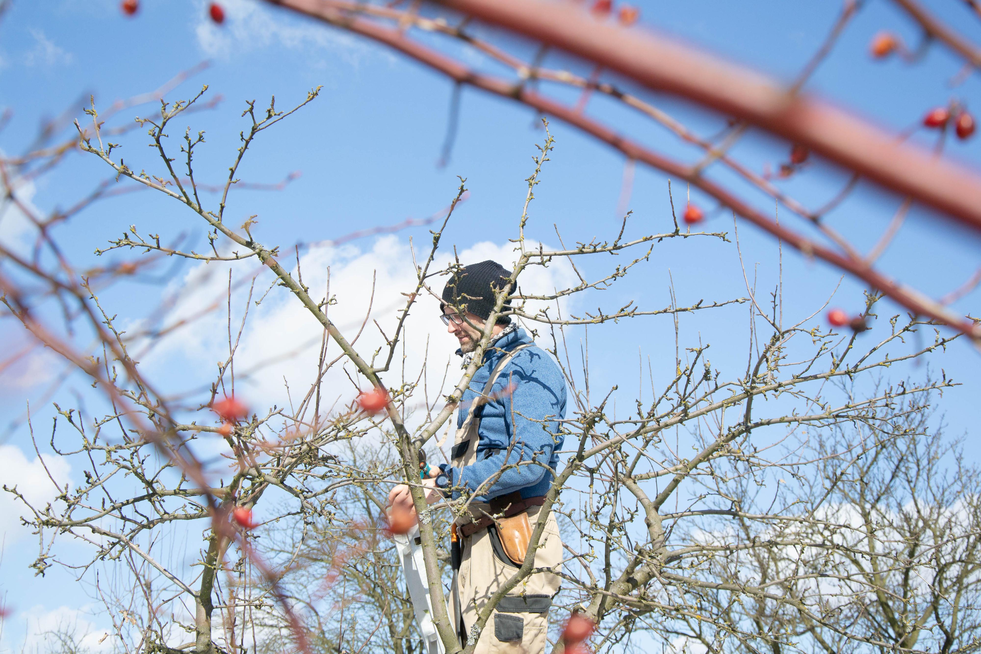 Hodinový zahradník - Evžen Blecha foto 4