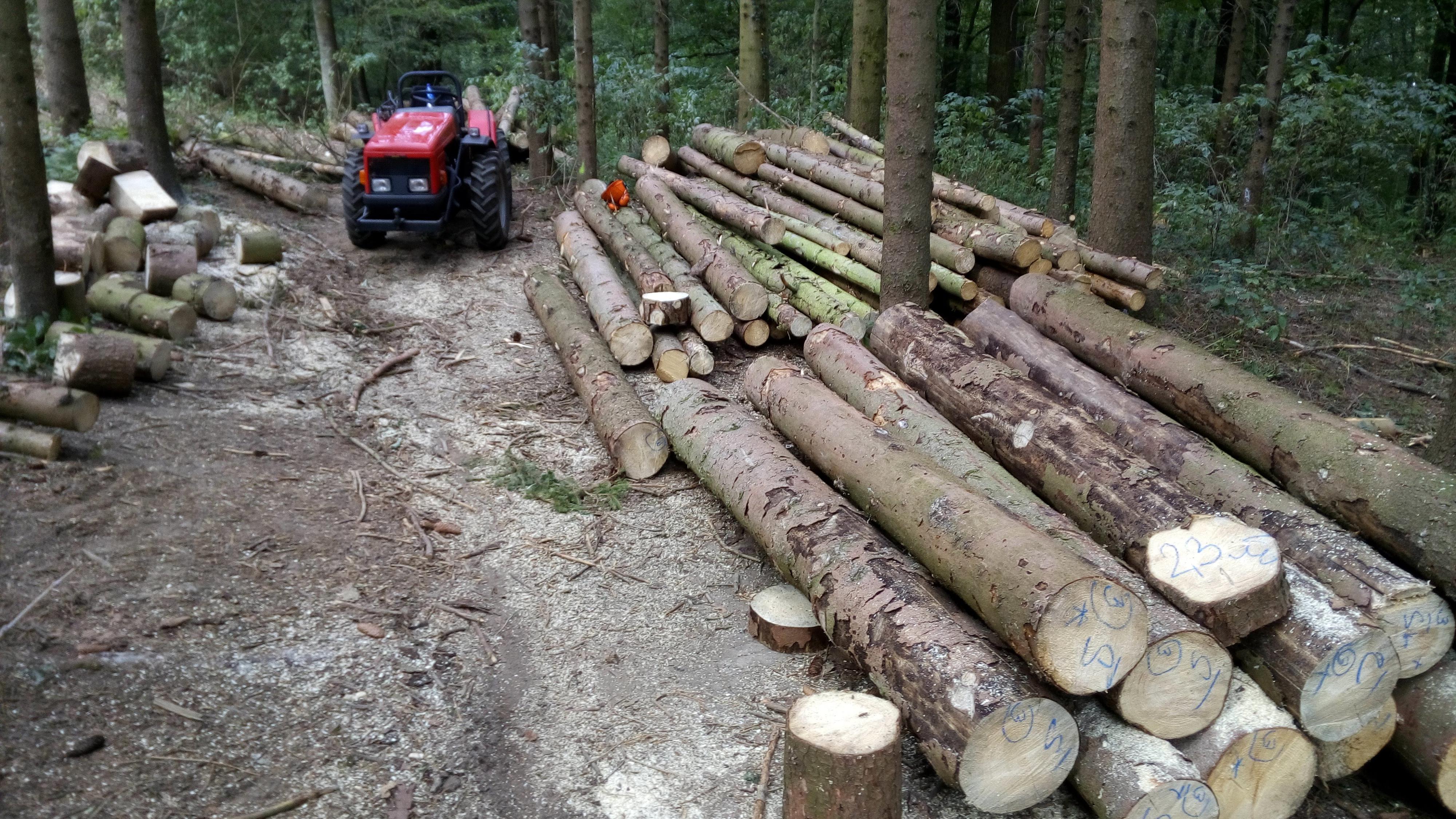 Radek Košatka foto 5