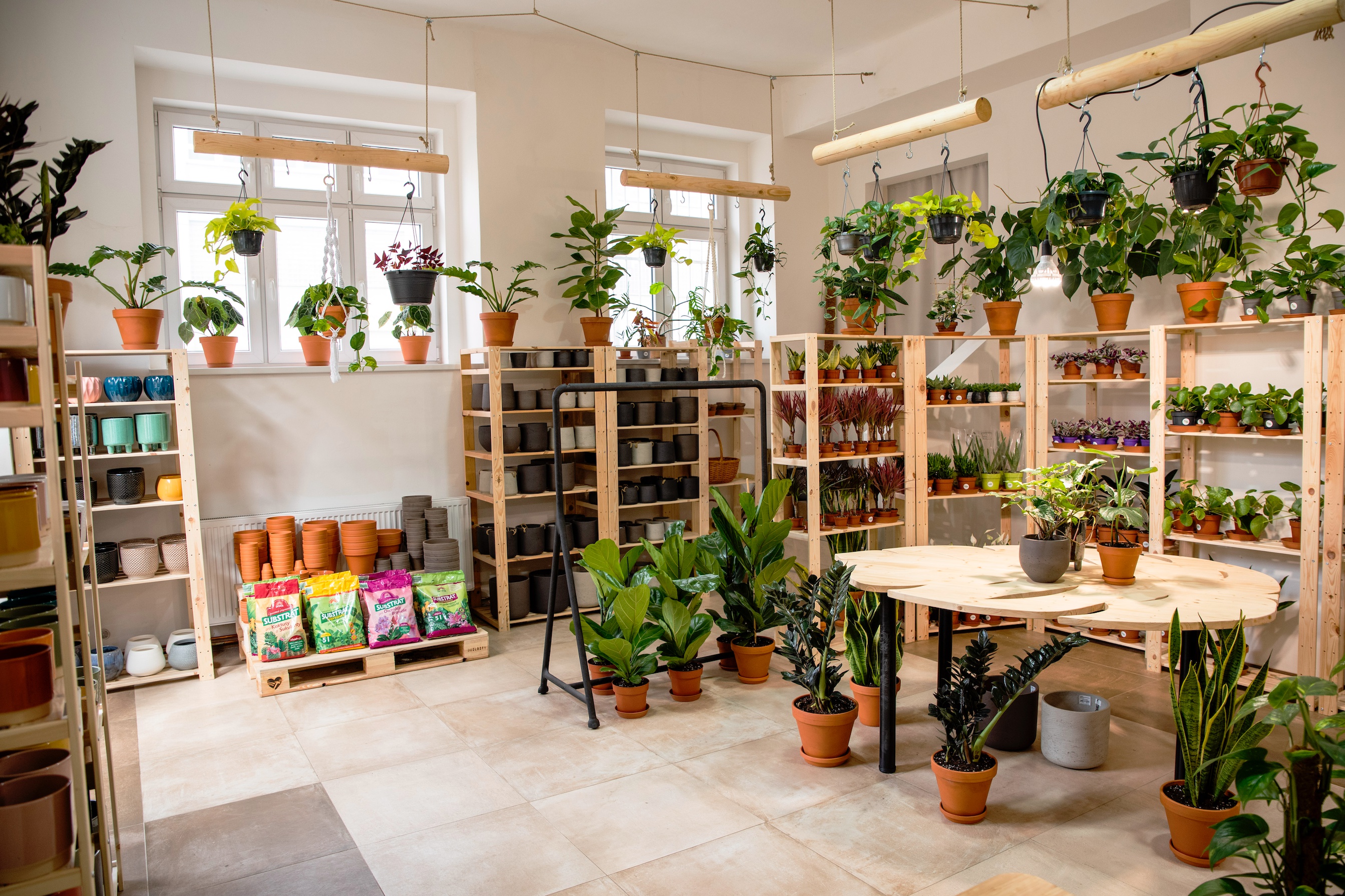 DMP - Dej mi pokojovku foto 2