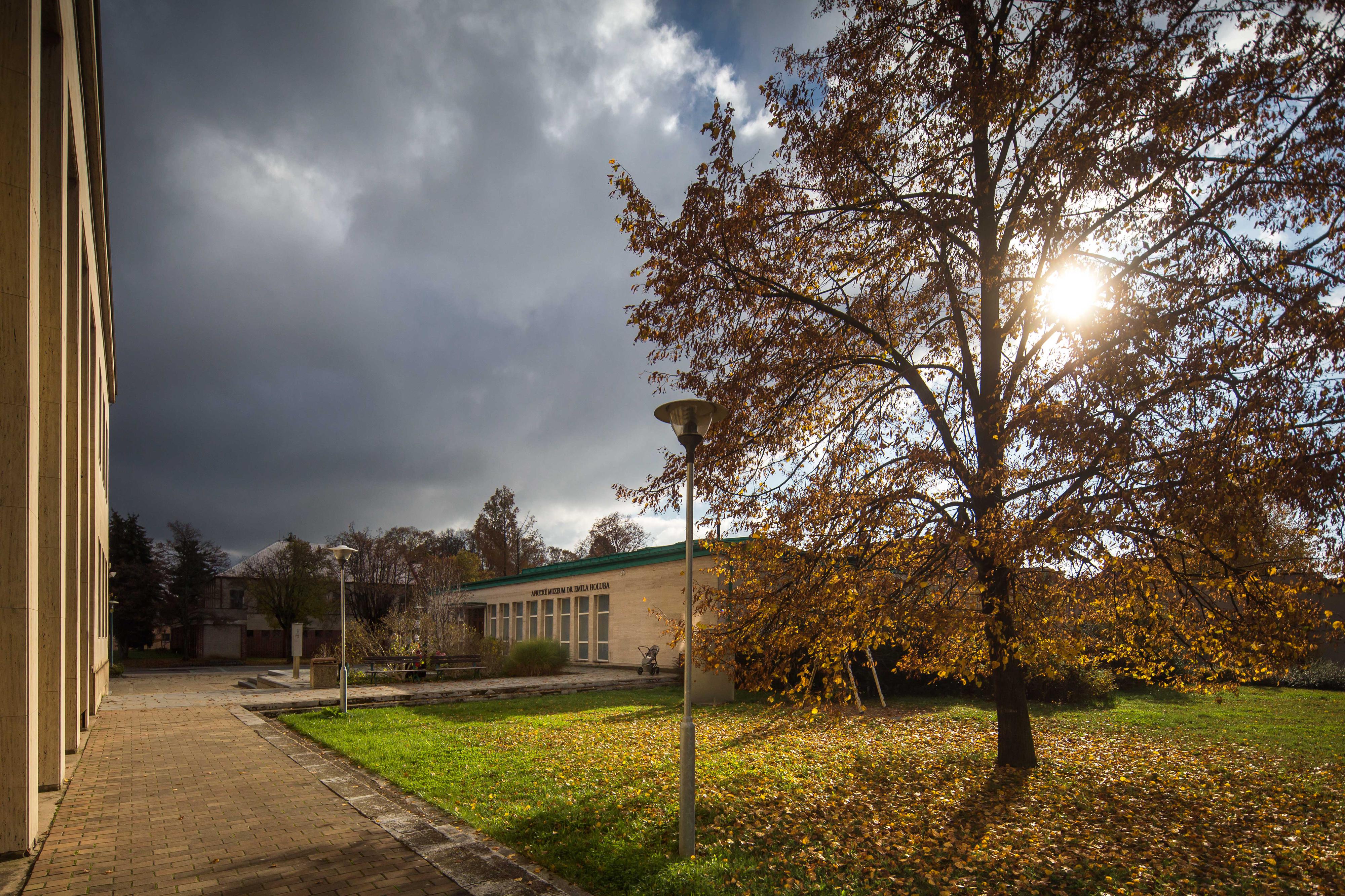 Městská knihovna Holice foto 4