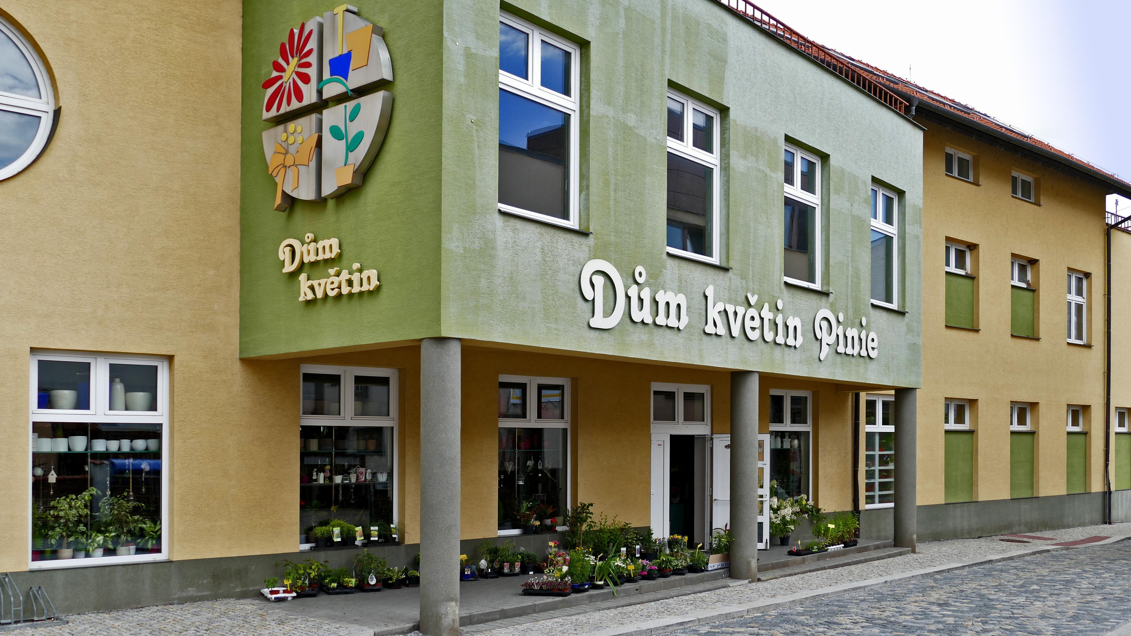 Dům květin Pinie foto 2