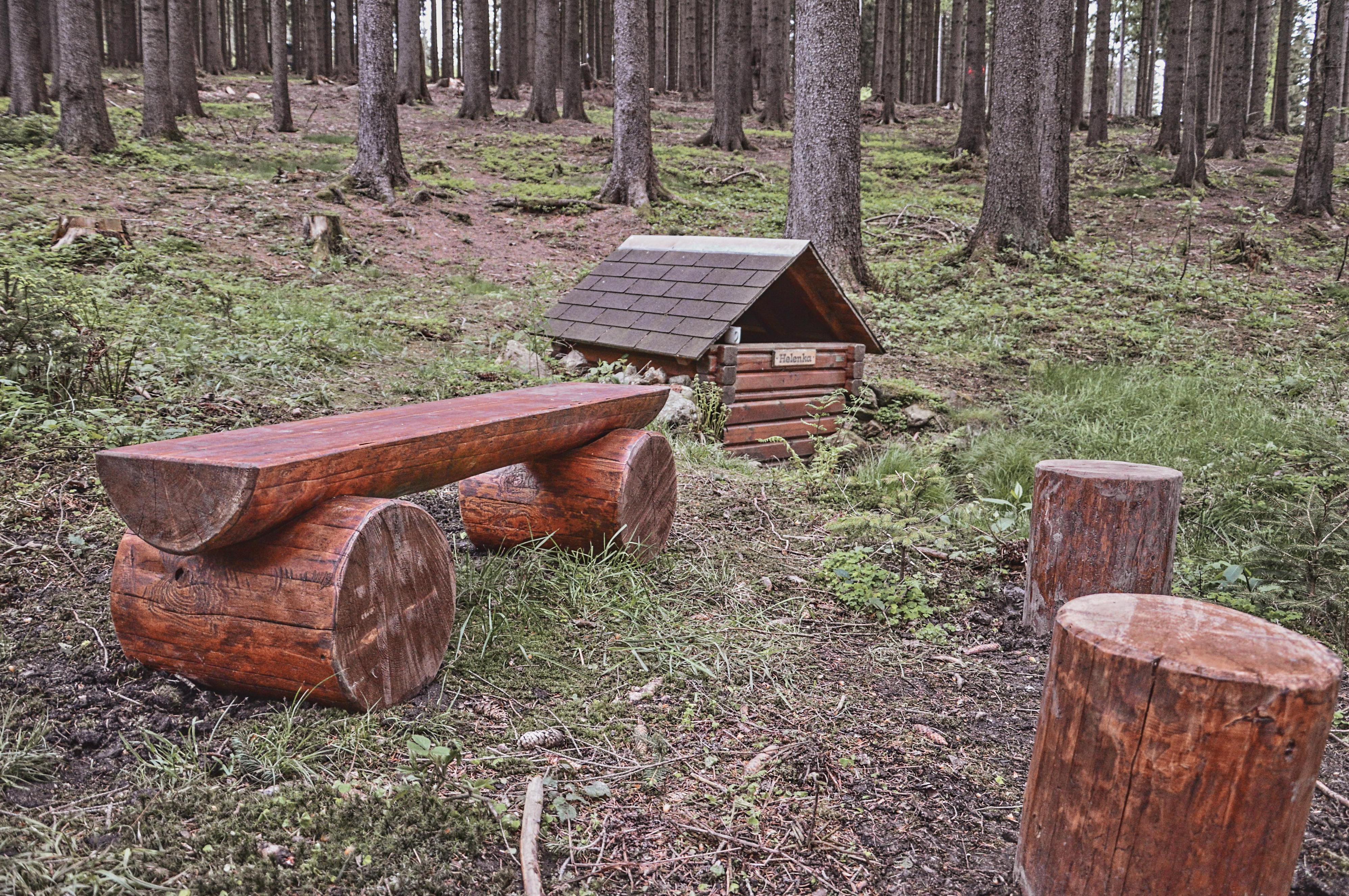 Lesní bar u víly Helenky foto 2