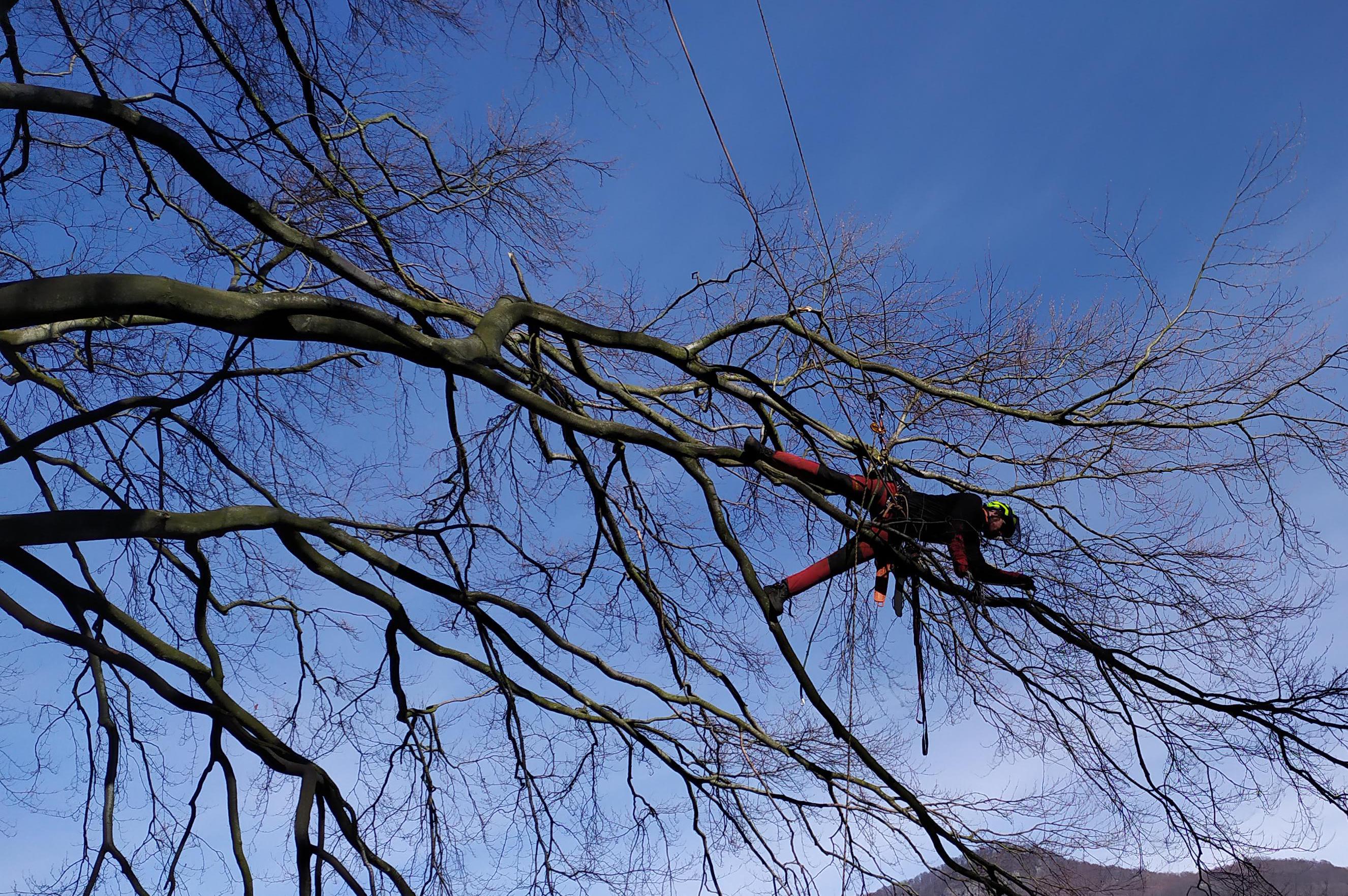 PoLANĚ.cz - Jan Klofec