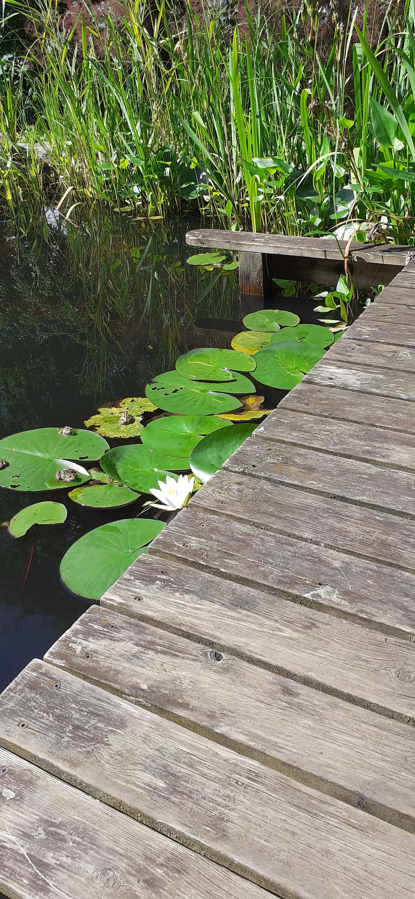 Penzion Vyhlídka foto 5