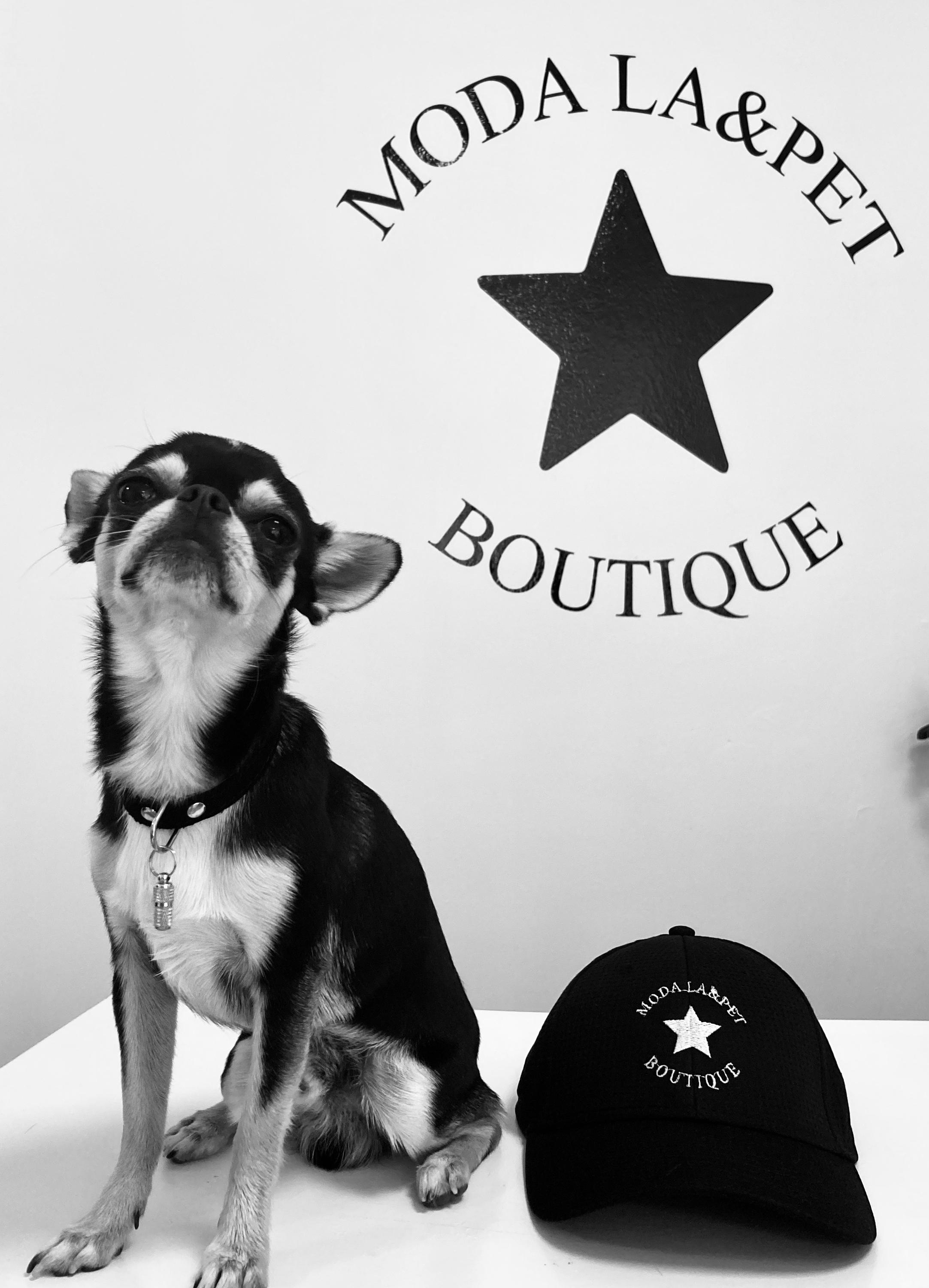 Moda La&Pet-Boutique foto 4