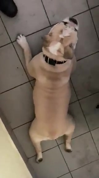 Zlatá farma foto 2 (náhled videa)