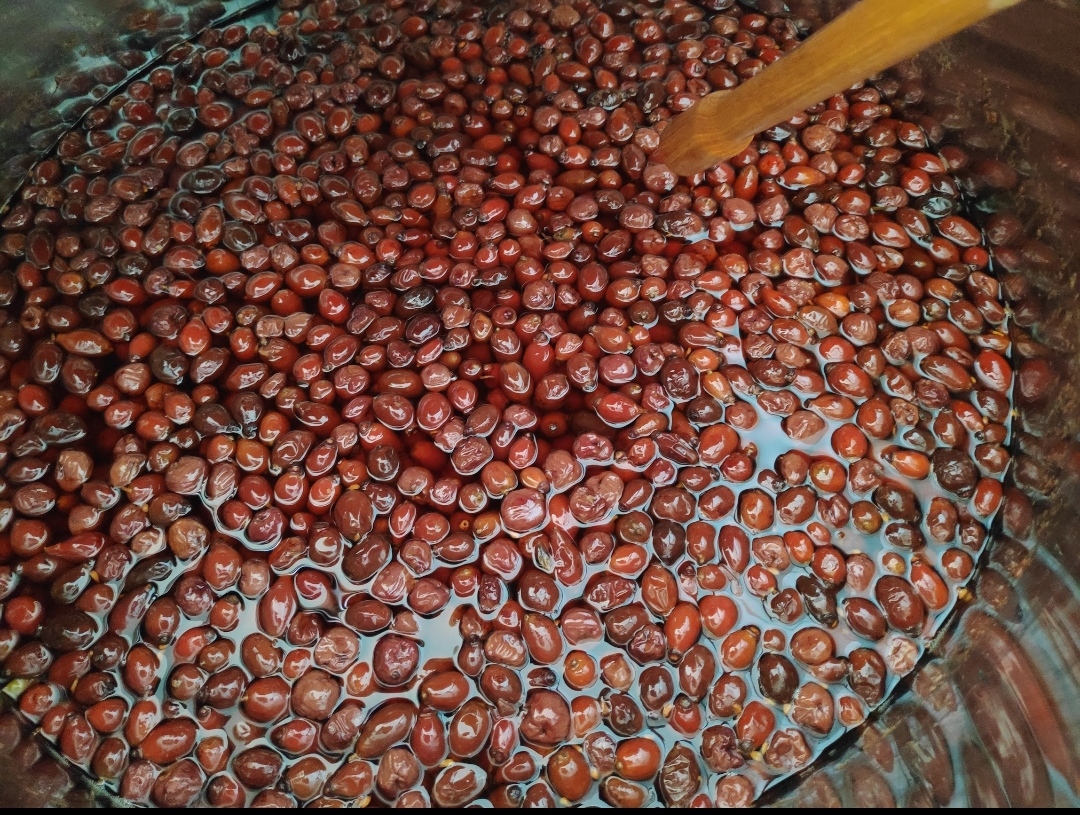 Šípková vína Renata Friedlová foto 5