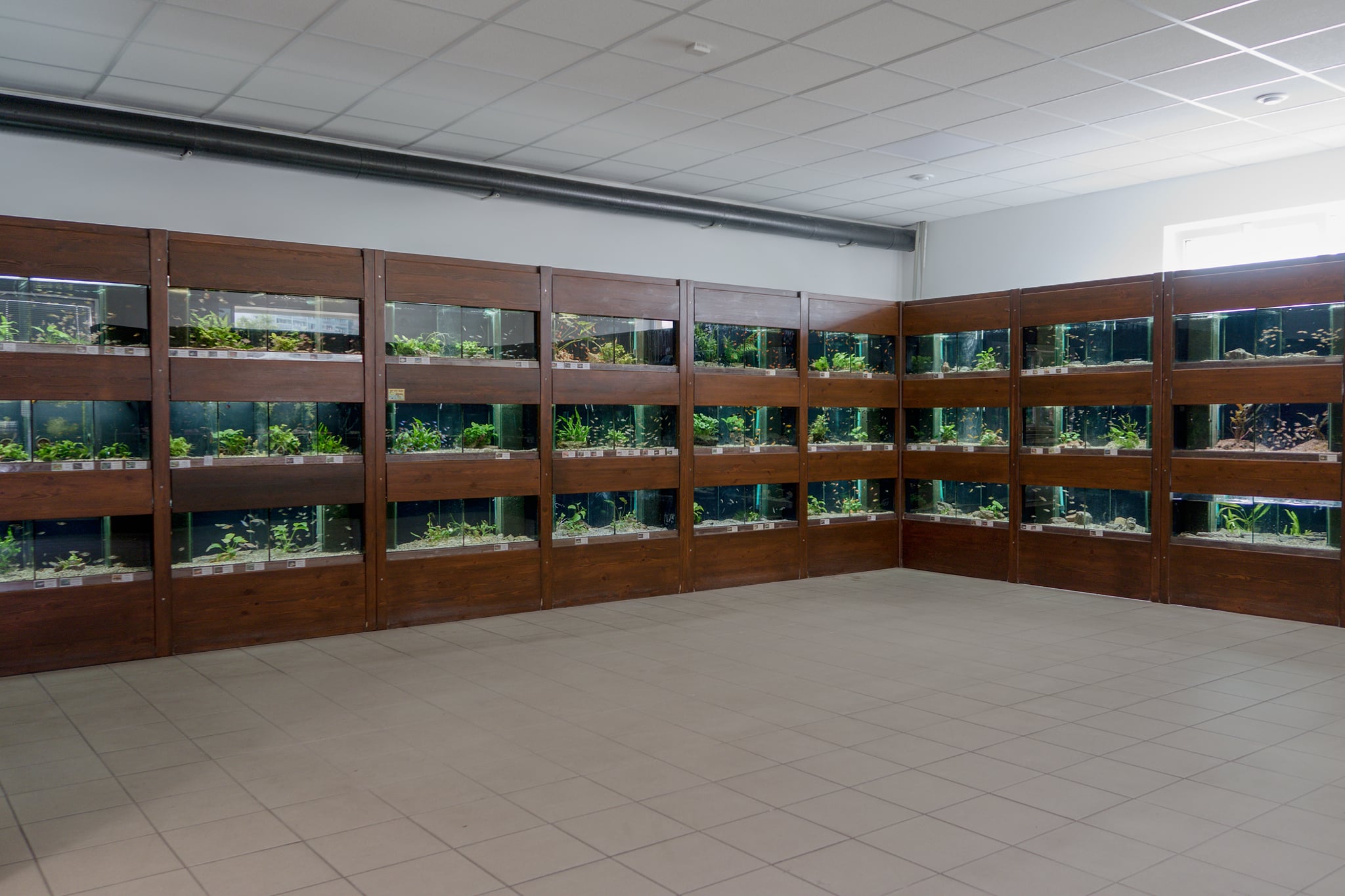 VIVARIUM foto 4