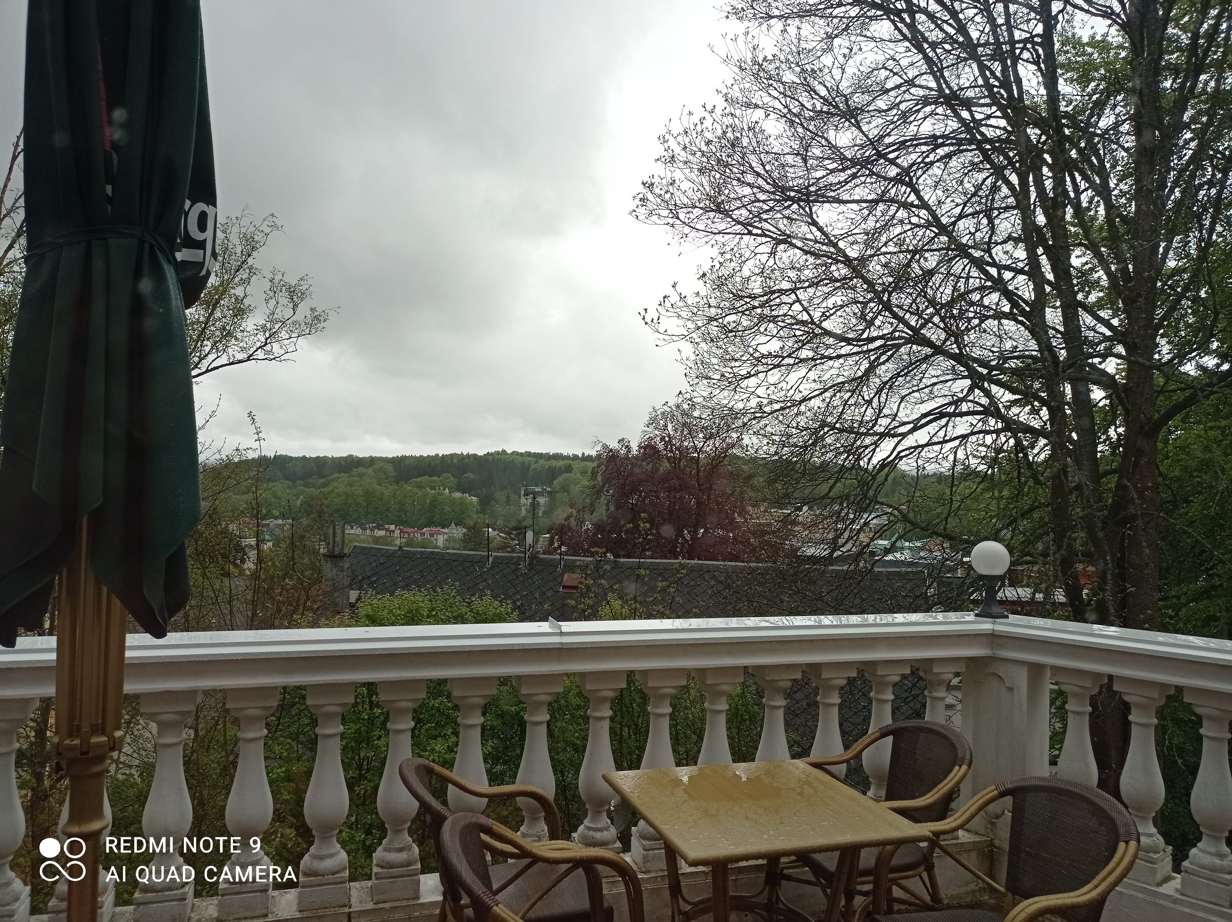 Café Royal foto 2