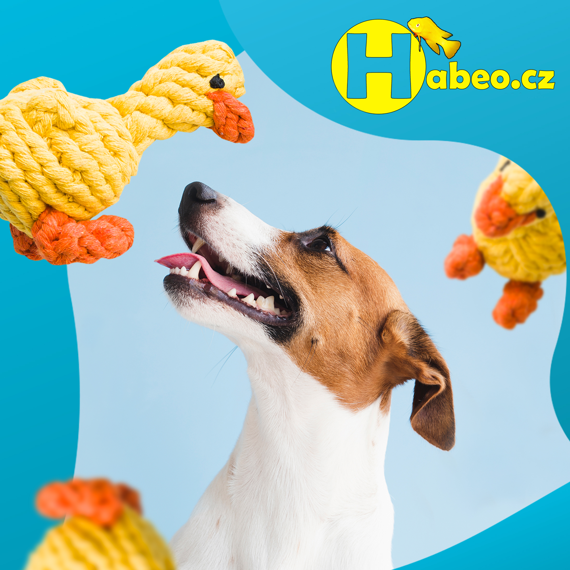 Chovatelský a rybářský e-shop Habeo.cz foto 2