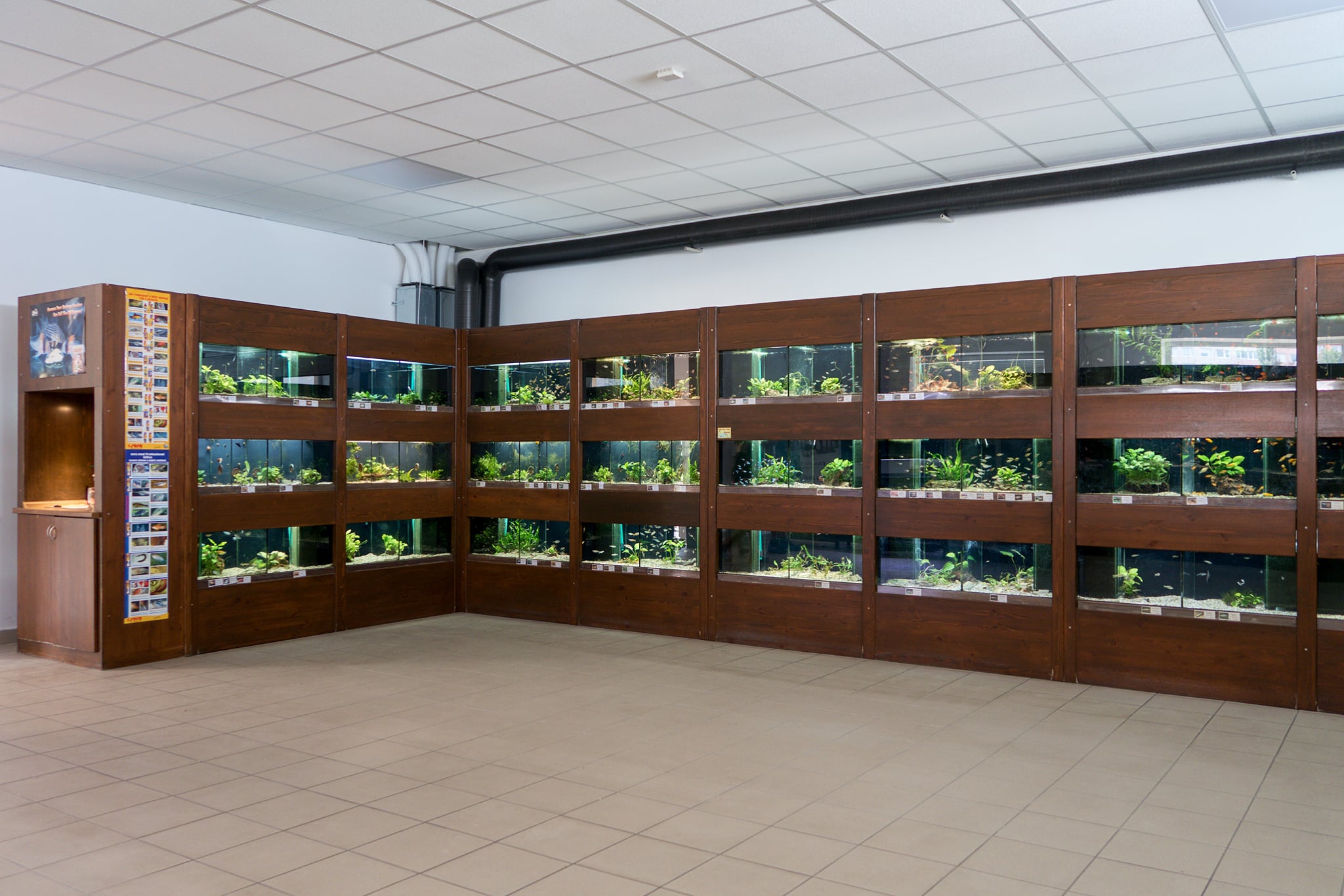 VIVARIUM foto 3