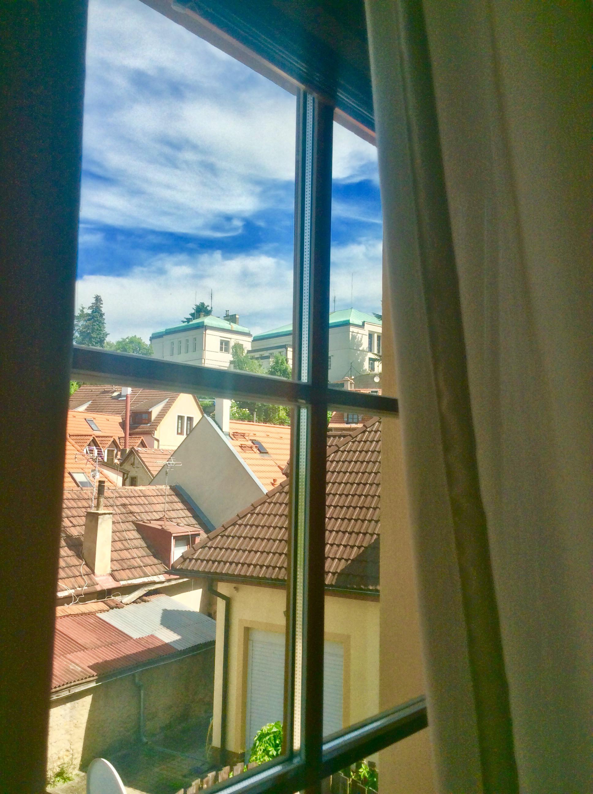 LEV I SOVA foto 6