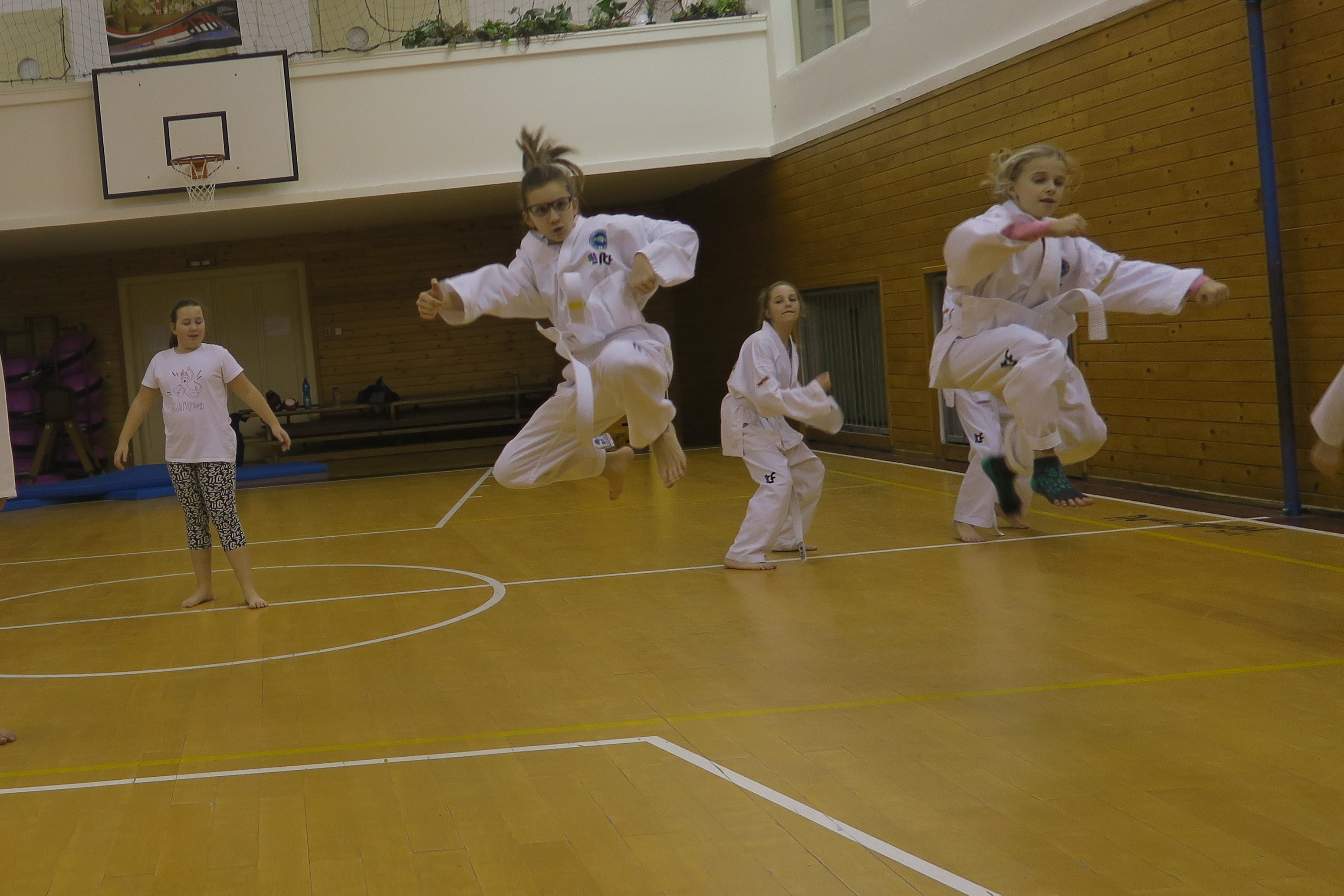 Taekwon-Do Lions foto 2