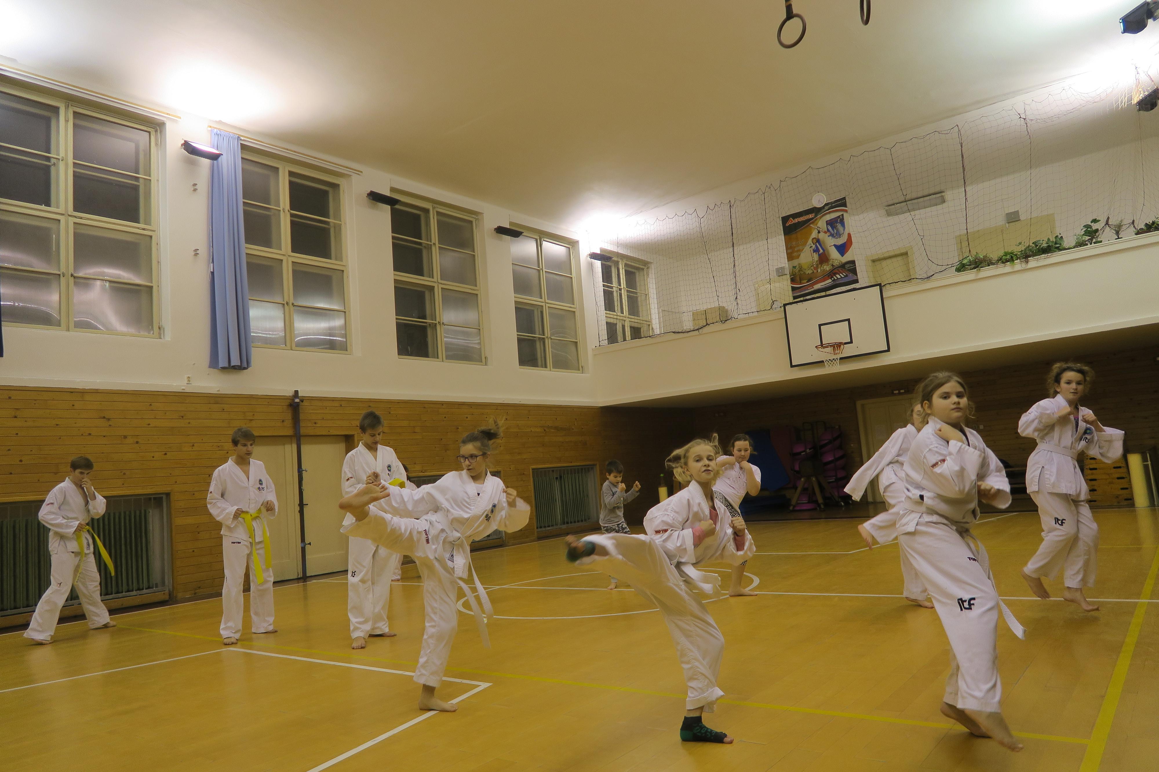 Taekwon-Do Lions foto 3