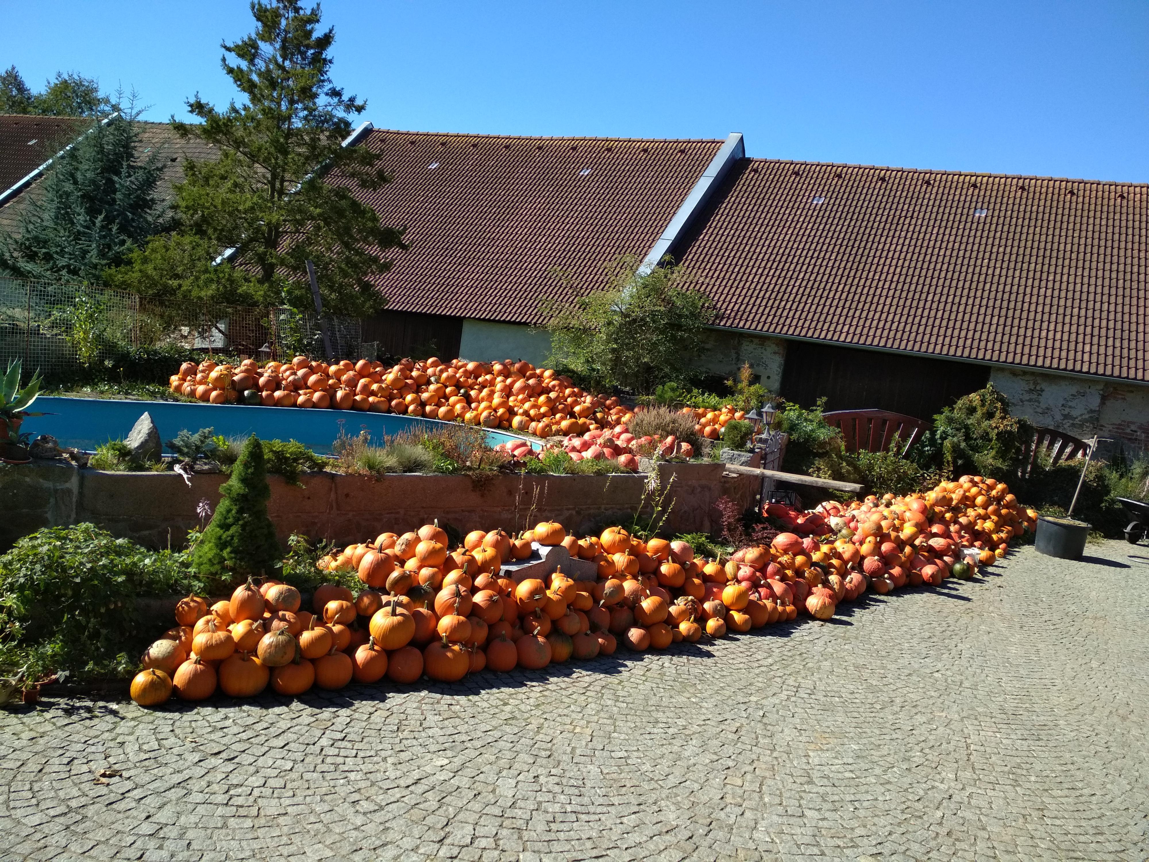 Zahradnictví U Růženky foto 4