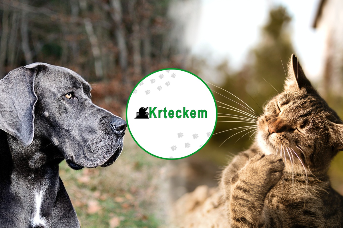 Krteckem.cz