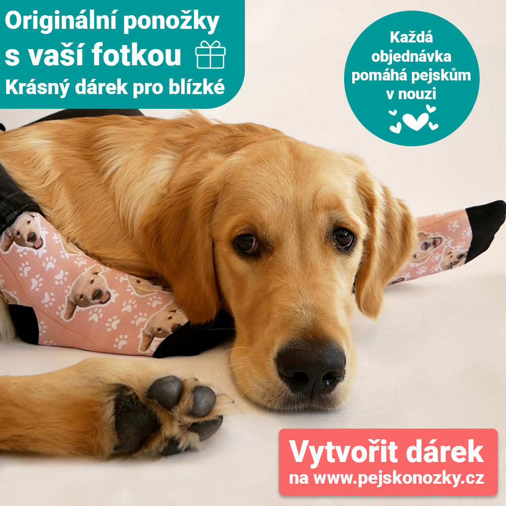 Pejskonožky foto 4