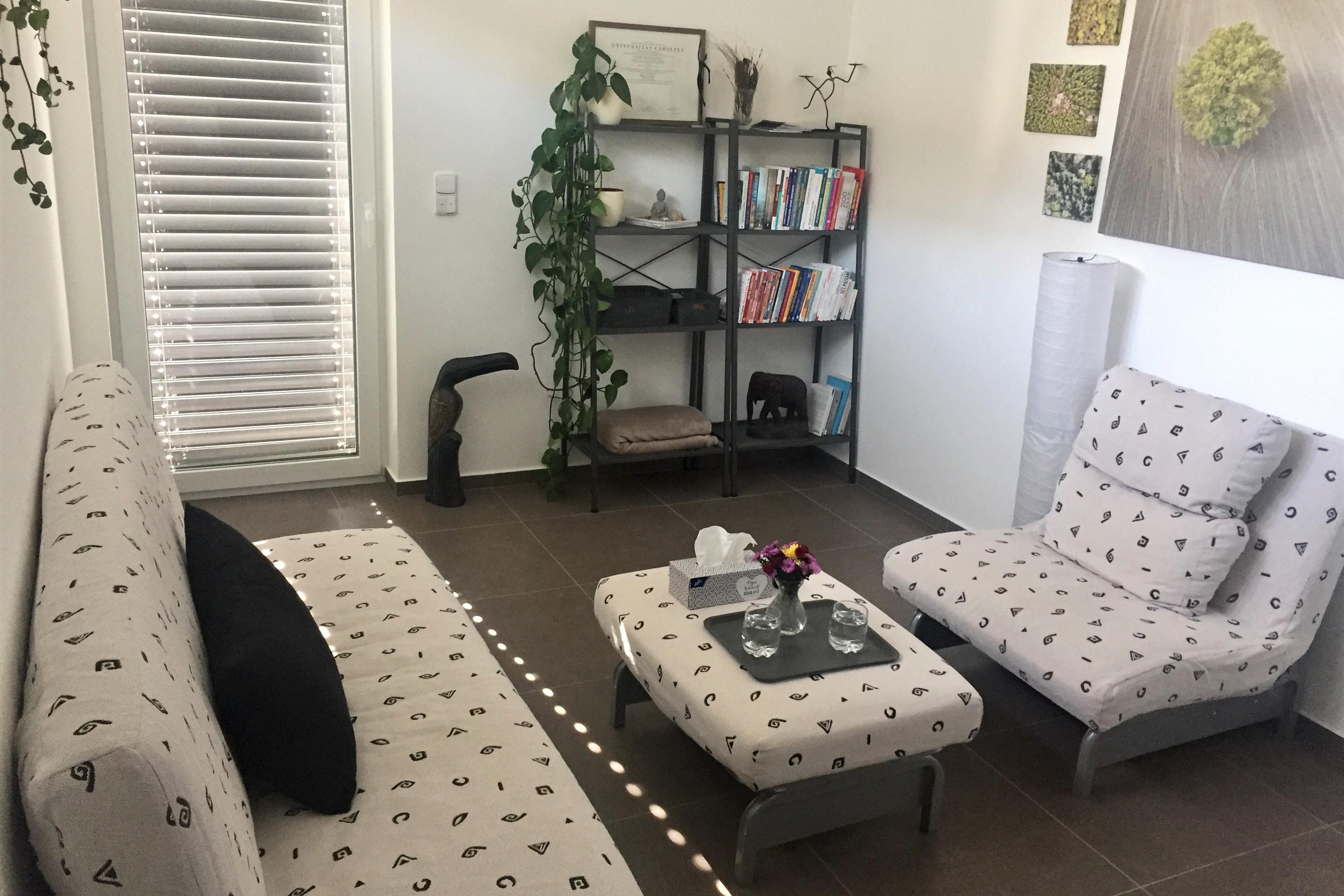 Mgr. et Mgr. BcA. Petra Doležalová, MBA - individuální a párová psychoterapie, psychologické a výchovné poradenství