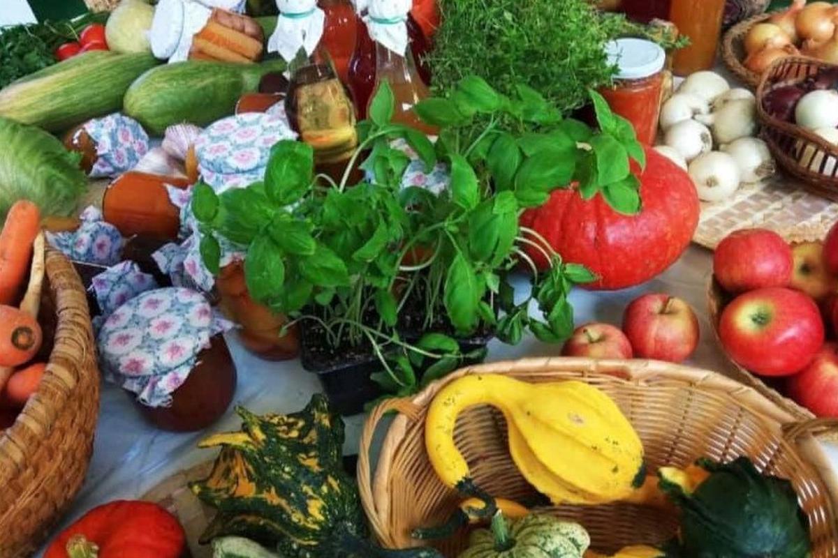 Zelinářství Komendovi