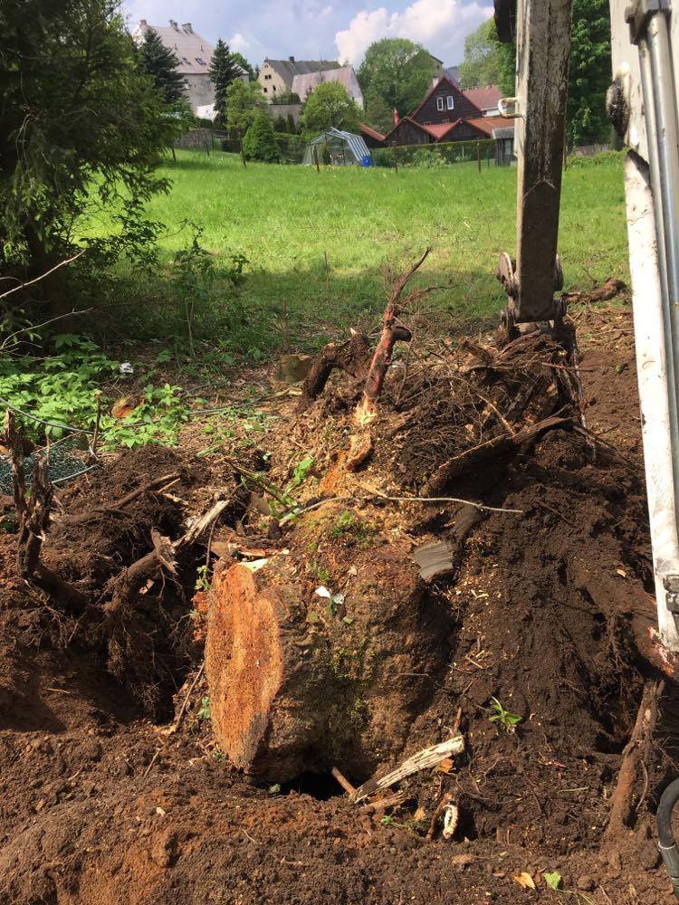 Zemní práce Jan Berg foto 4