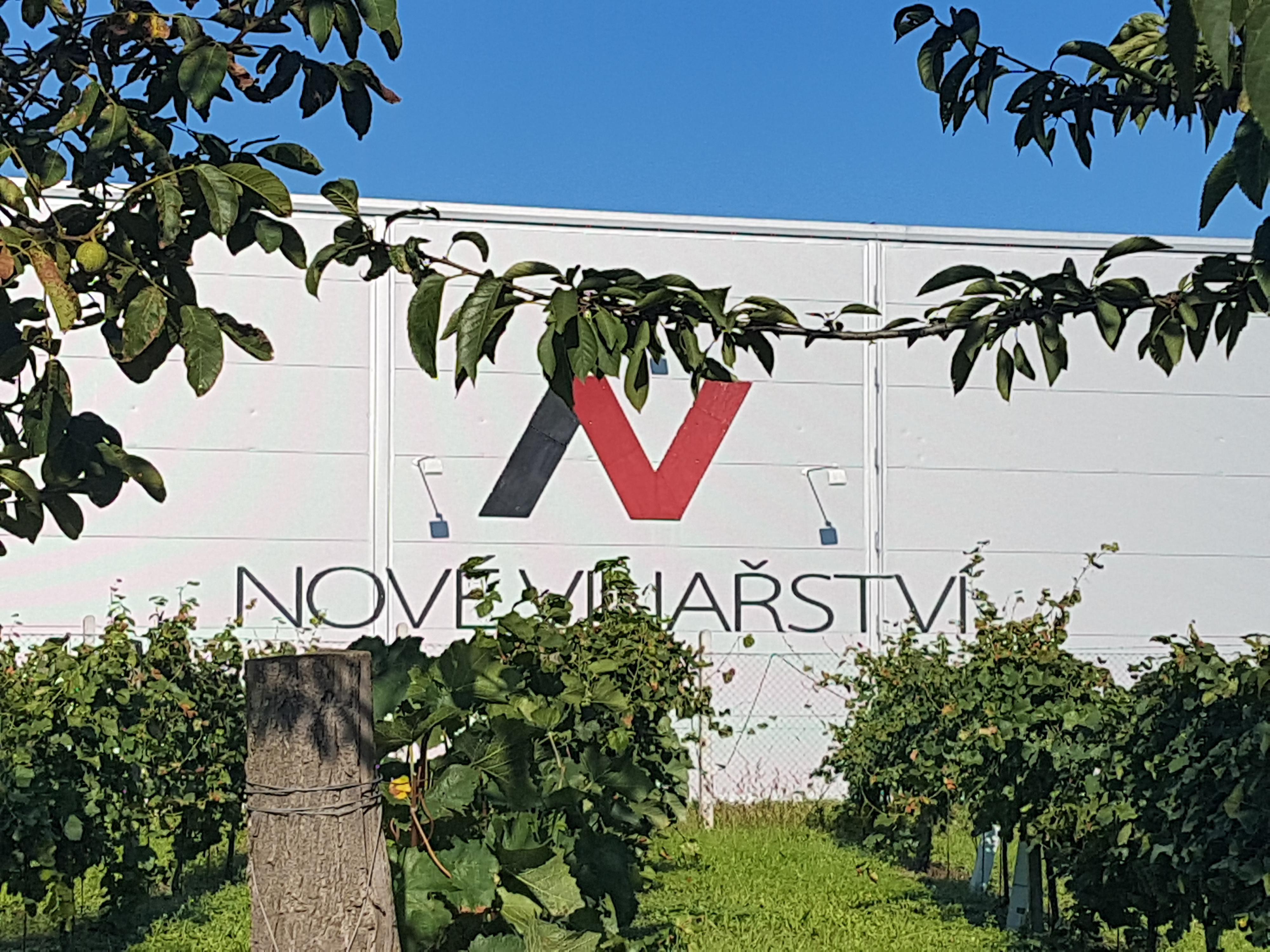 NOVÉ VINAŘSTVÍ, a.s. foto 2