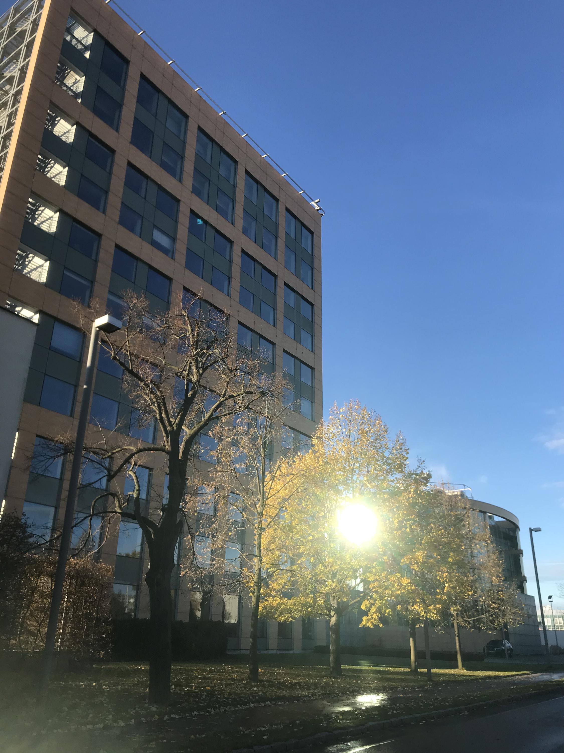 Zentiva, k.s. foto 6