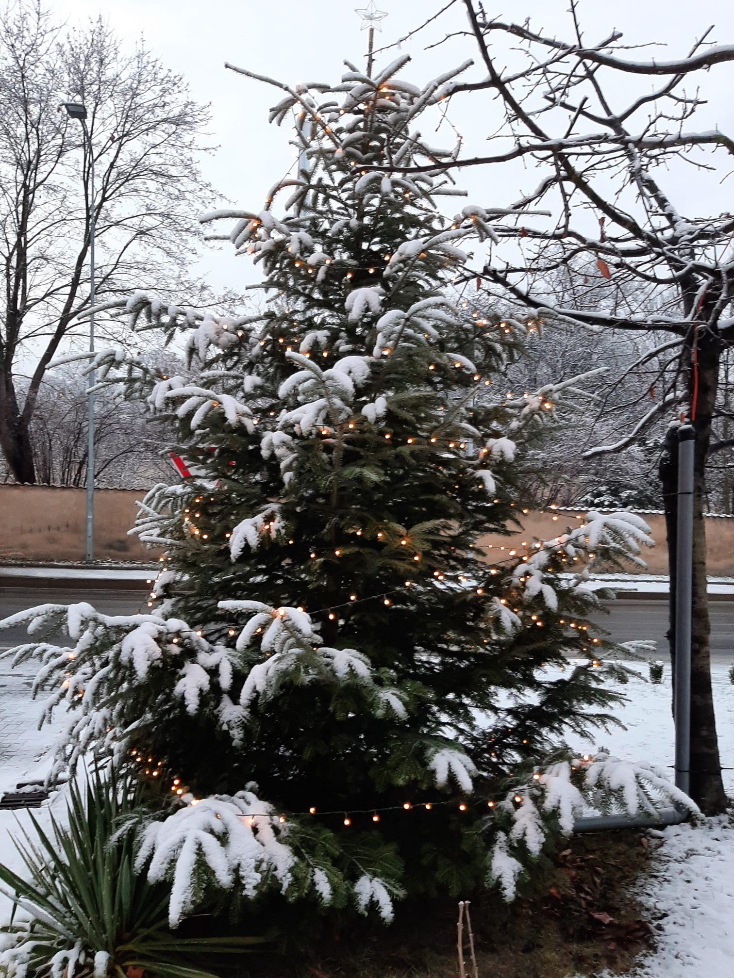 Domov Na Výsluní, Hořovice foto 3