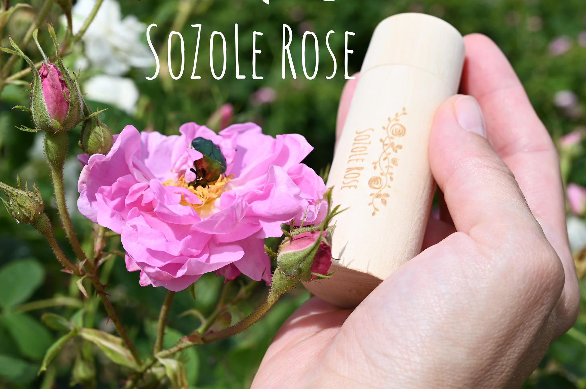 SoZoLe Rose, s.r.o.