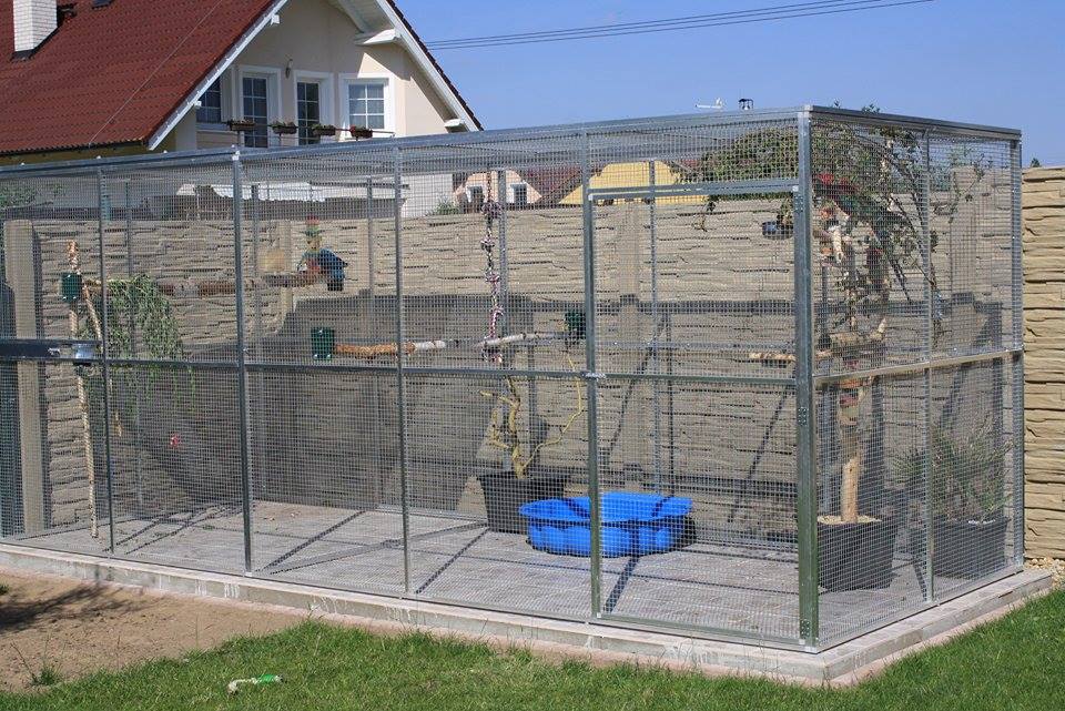 spokojenypapousek.cz foto 2