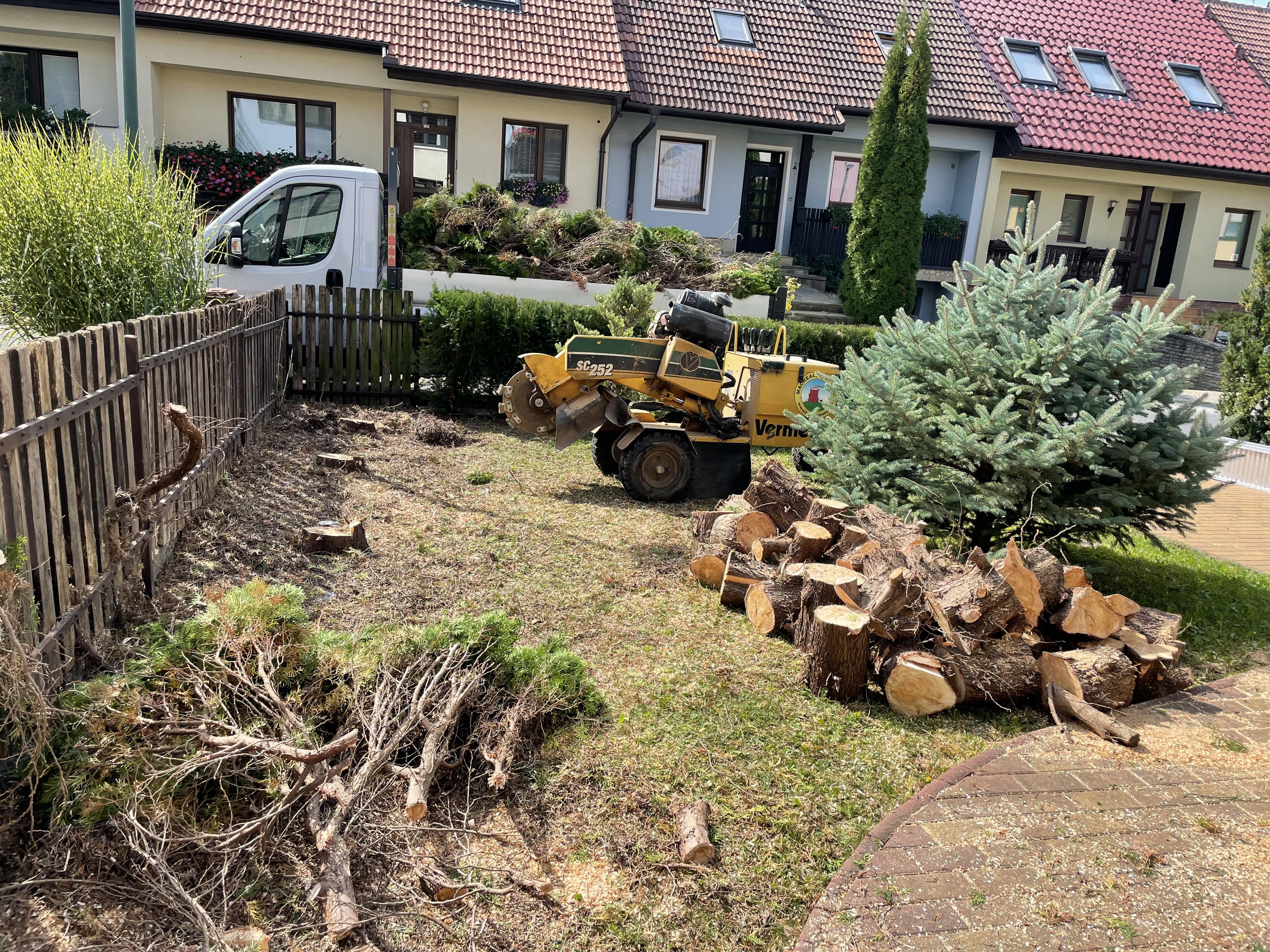 Služby Macreal foto 2