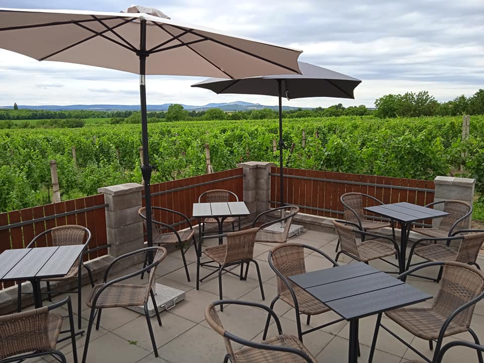 Vinařství U Křížku foto 4