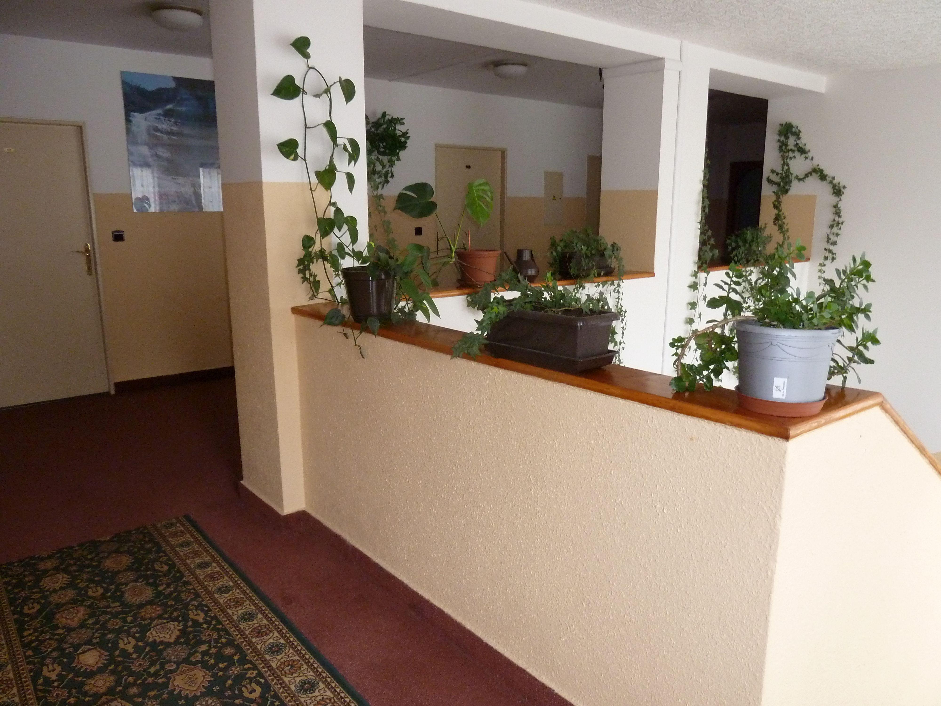 Active & Wellness Hotel Subterra foto 5