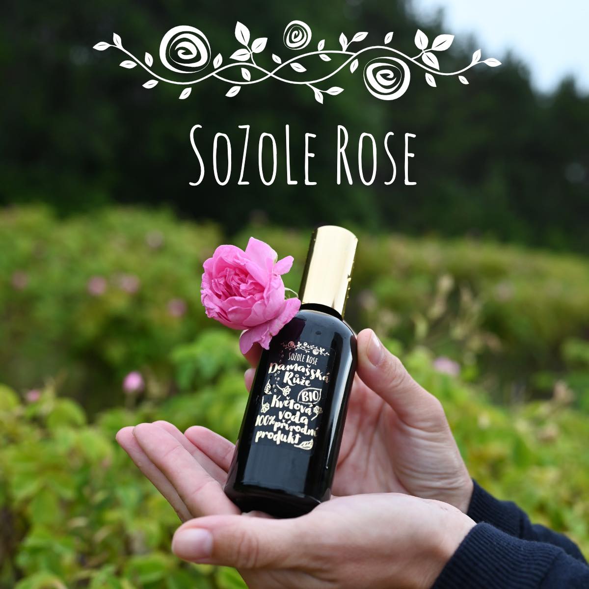 SoZoLe Rose, s.r.o. foto 5