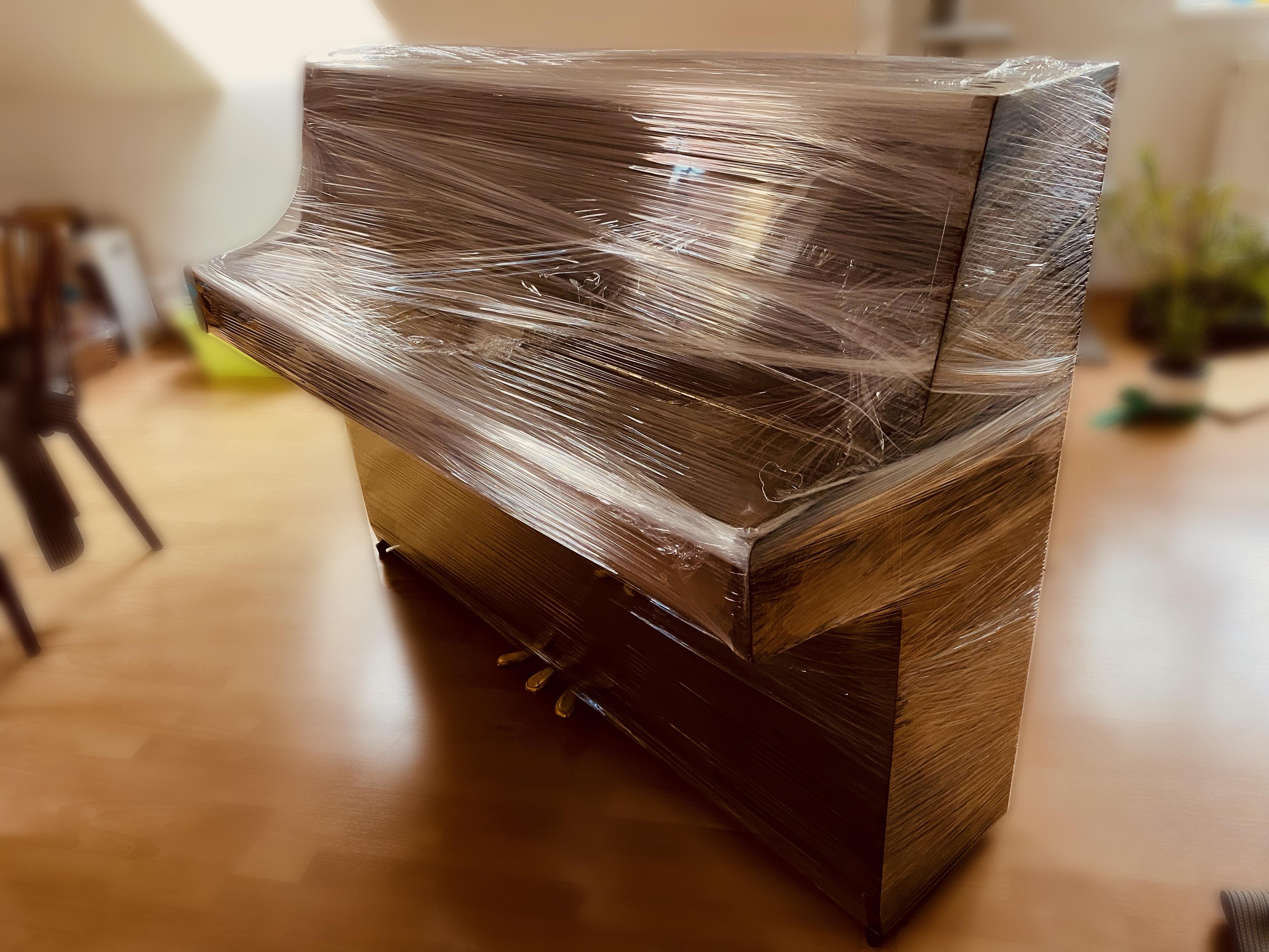 Moving Guy foto 2