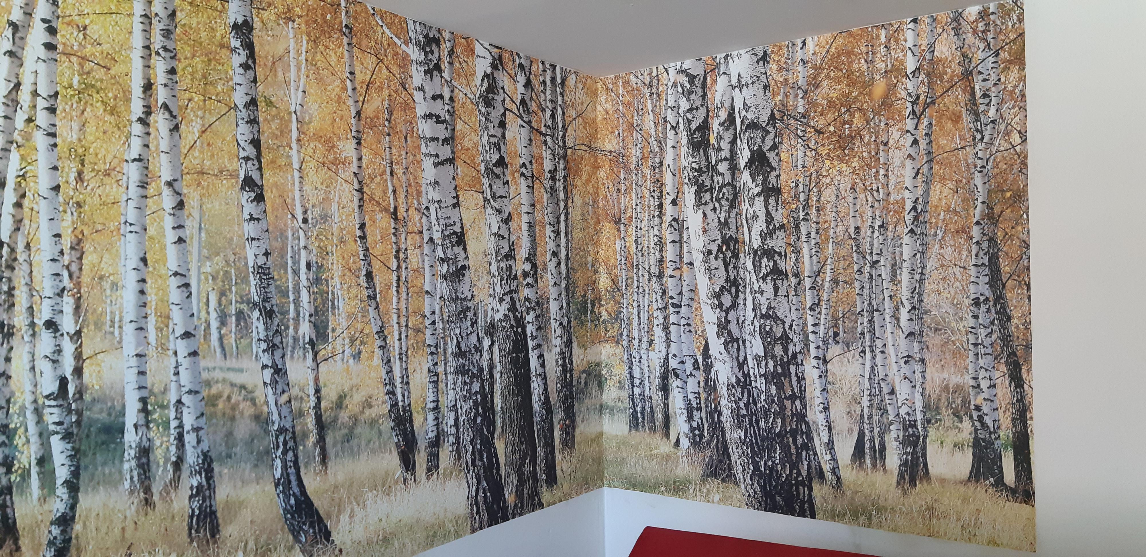 Tapetování Eva Zasadilová foto 4