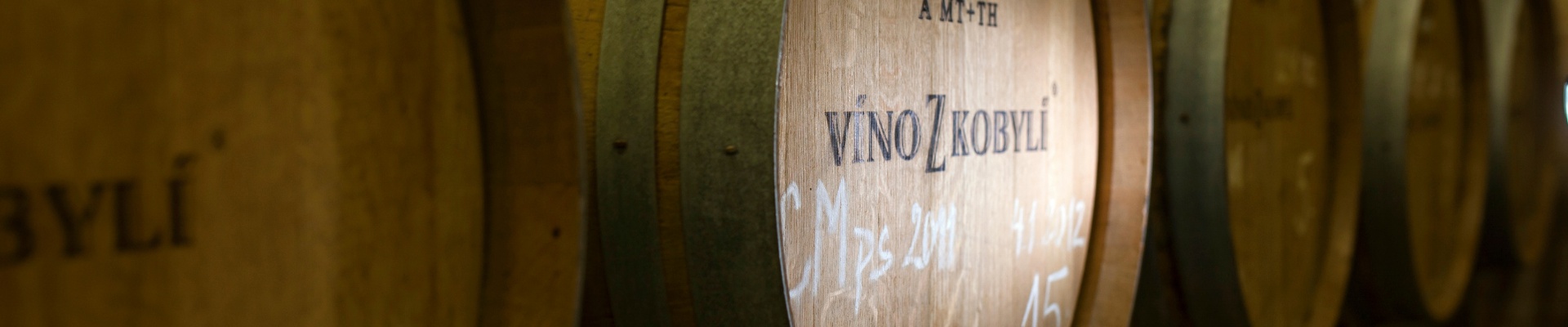 Úvodní obrázek Víno z Kobylí