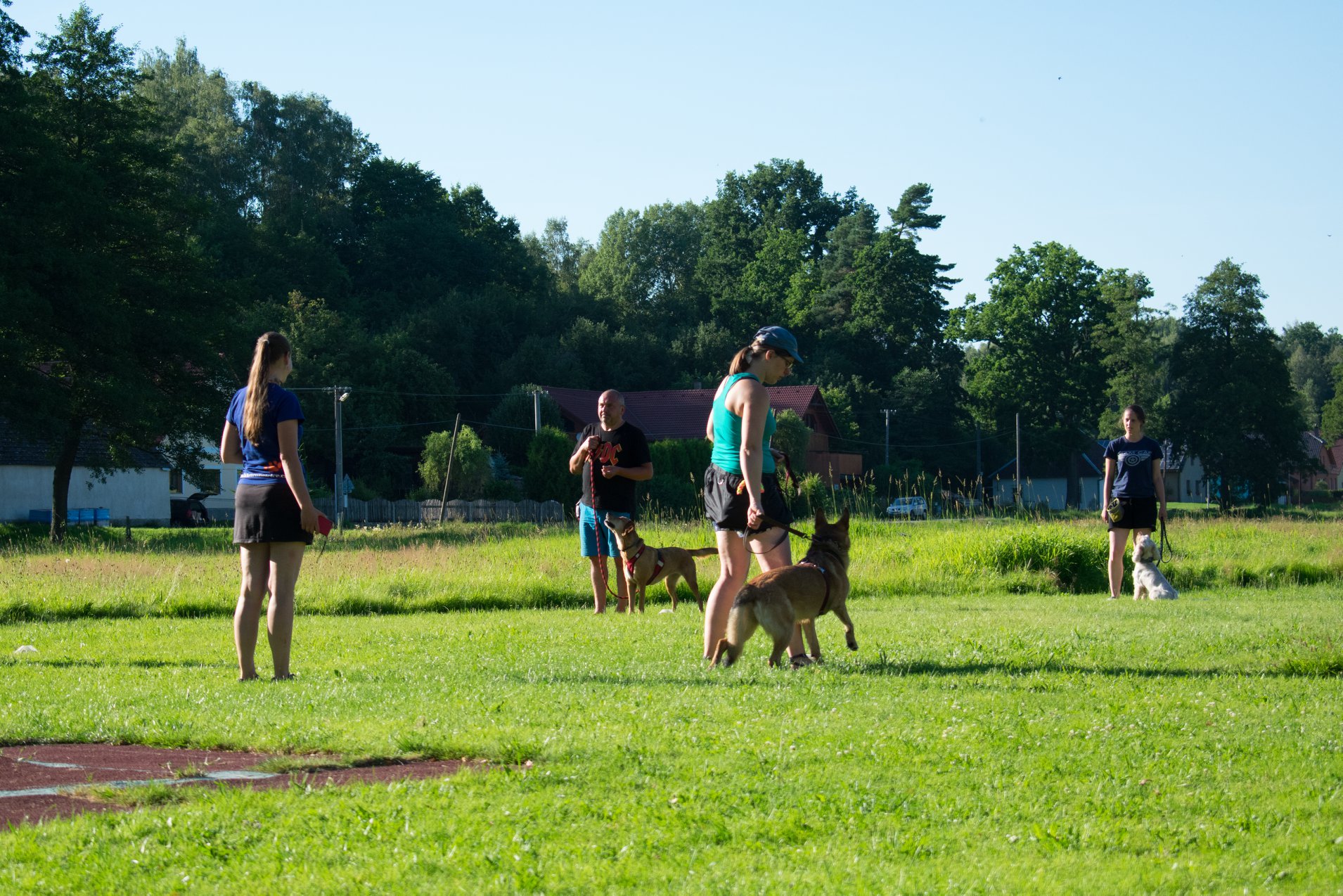 Psí škola Dancing Dogs foto 2