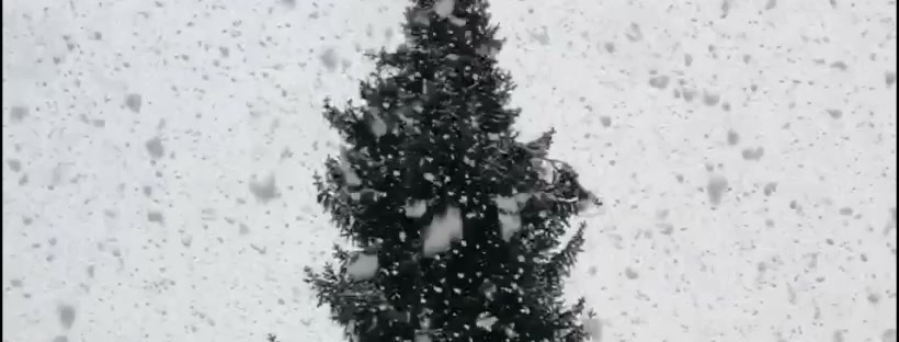 Moje Luha foto 2 (náhled videa)