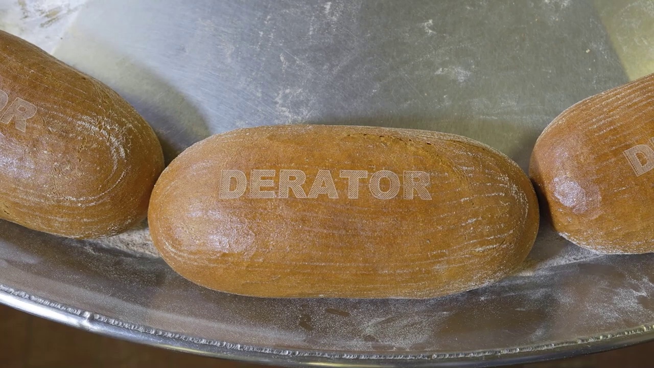 DERATOR - deratizace, dezinsekce, dezinfekce foto 5