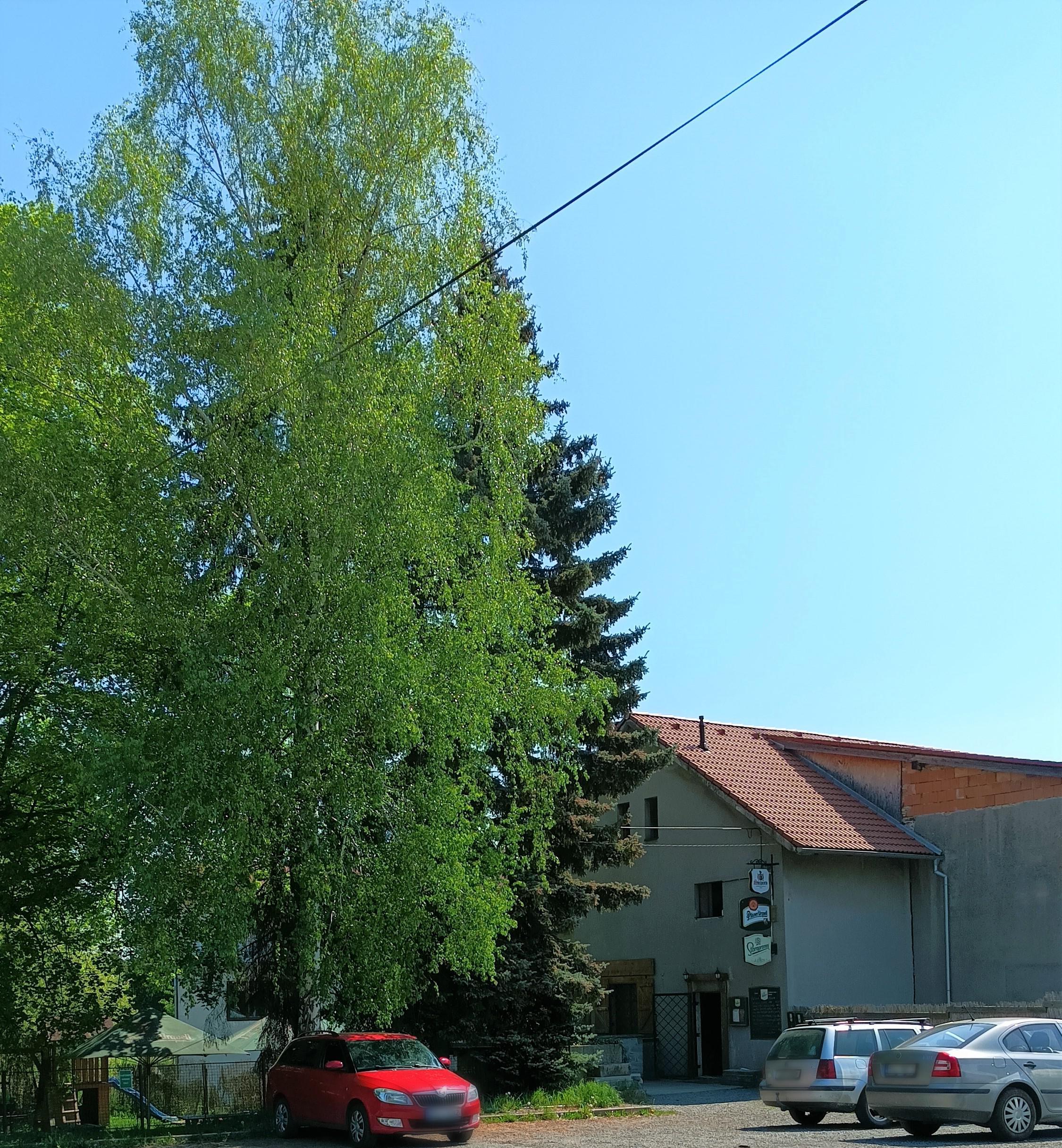 Hostinec Černý Vůl foto 3