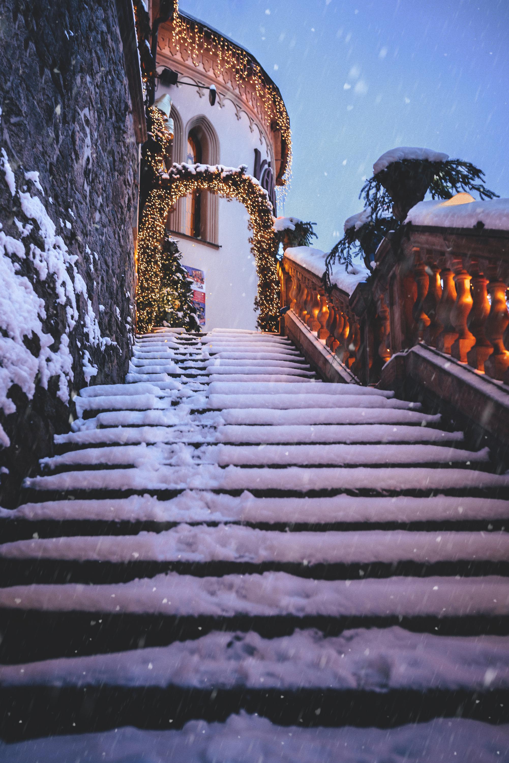 Vánoční dům a Muzeum medvídků foto 3