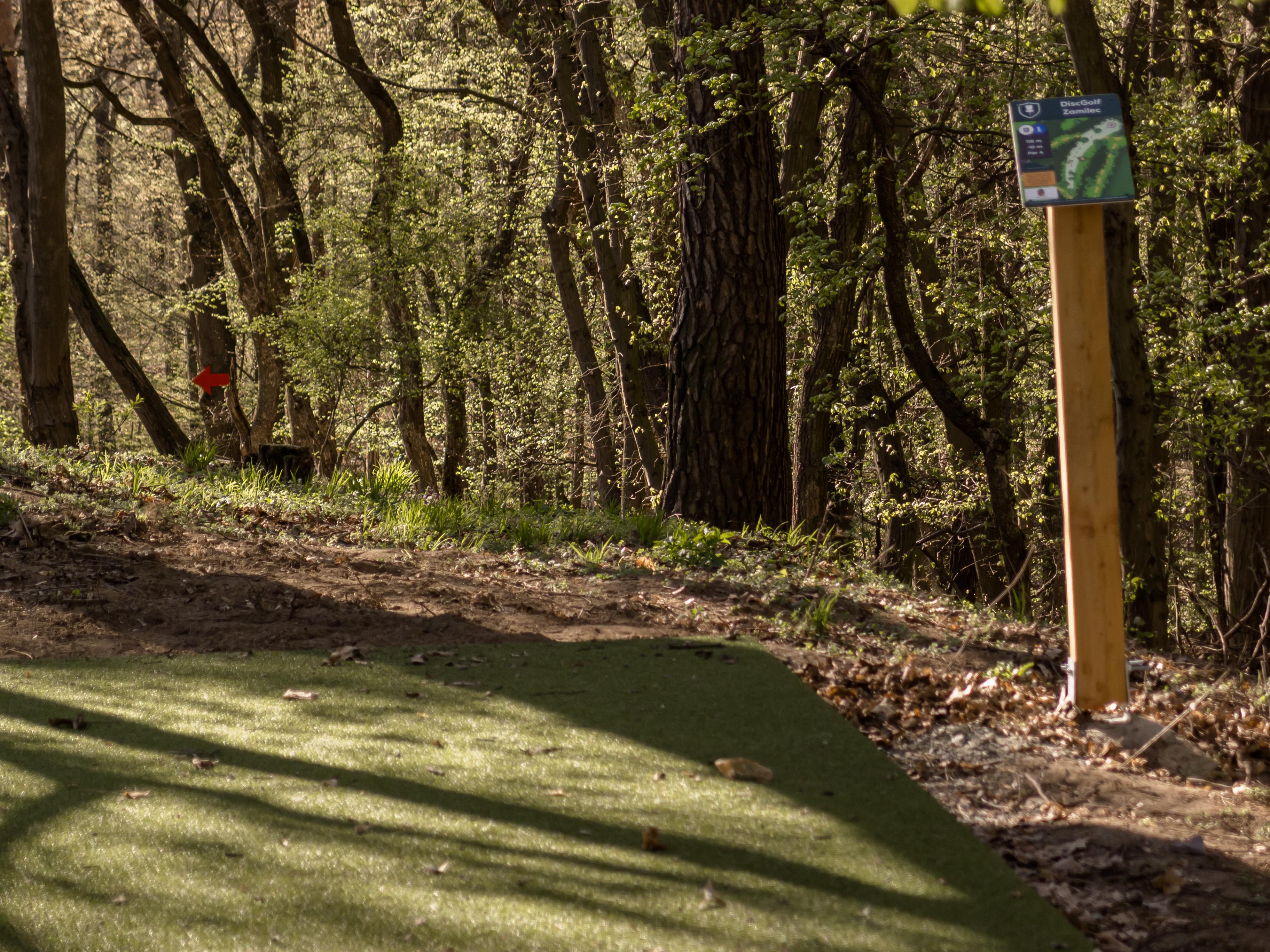 Disc Golf Zamilec foto 5