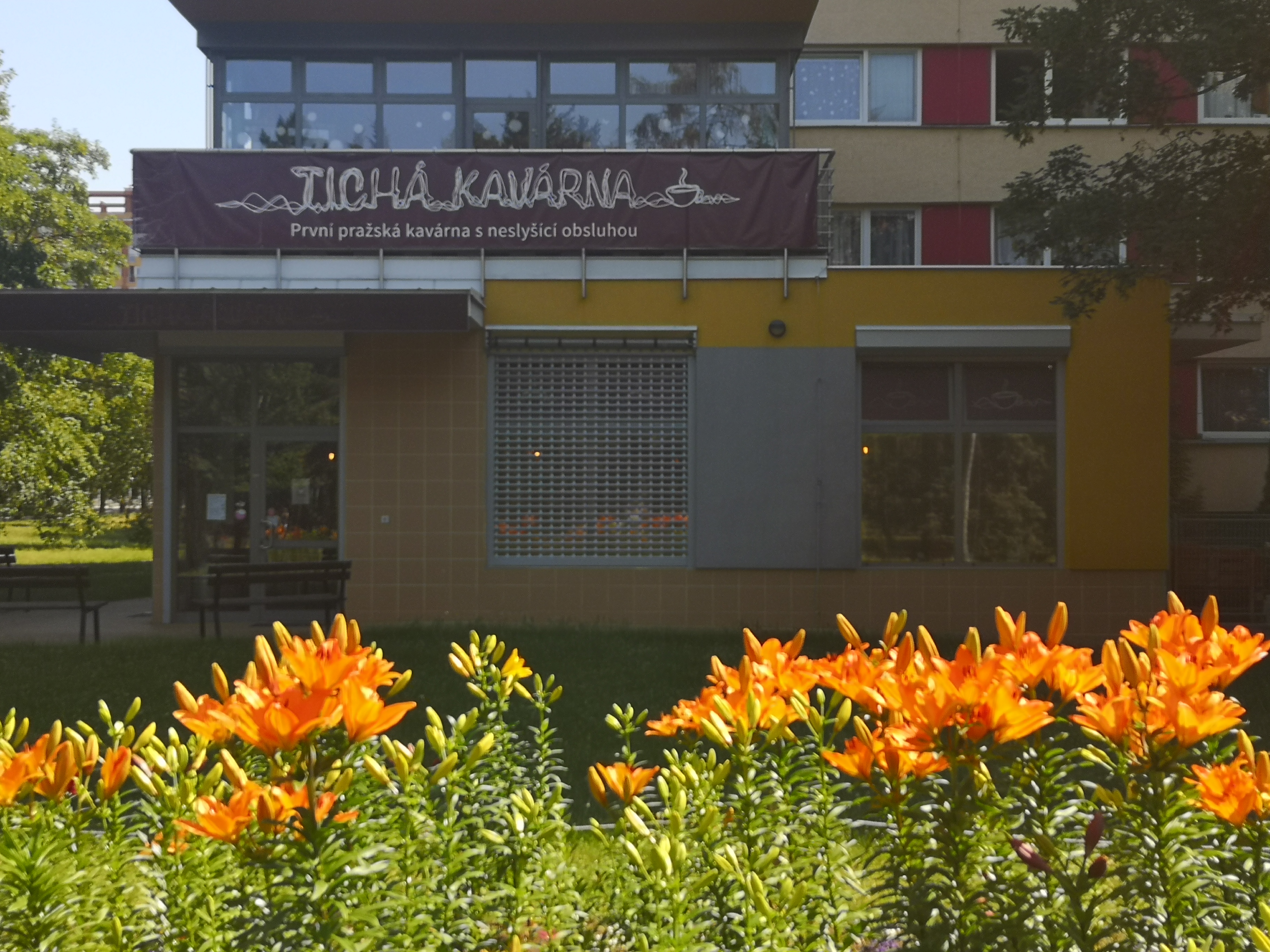 Tichá kavárna foto 3