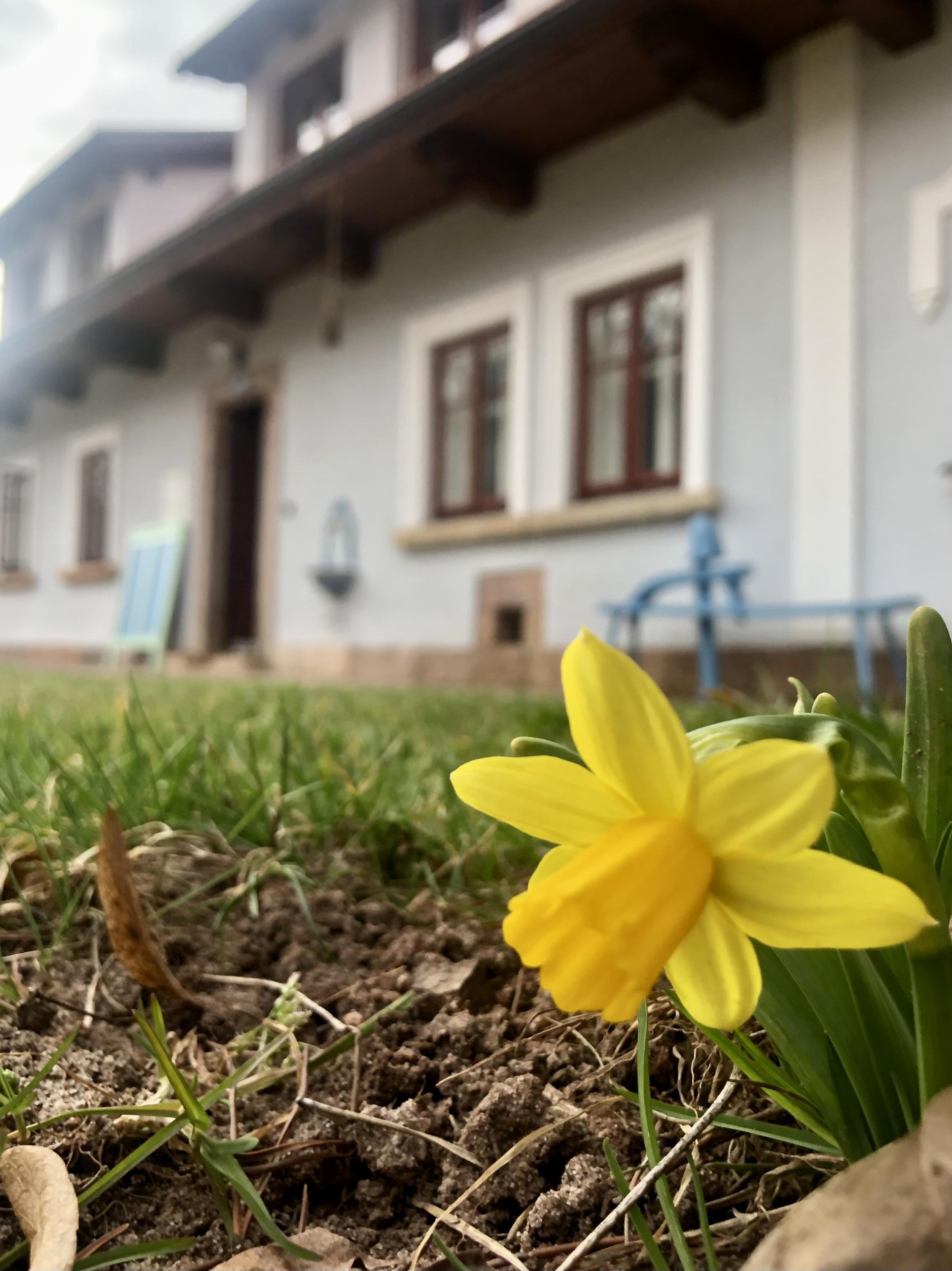 Penzion Pecka foto 6