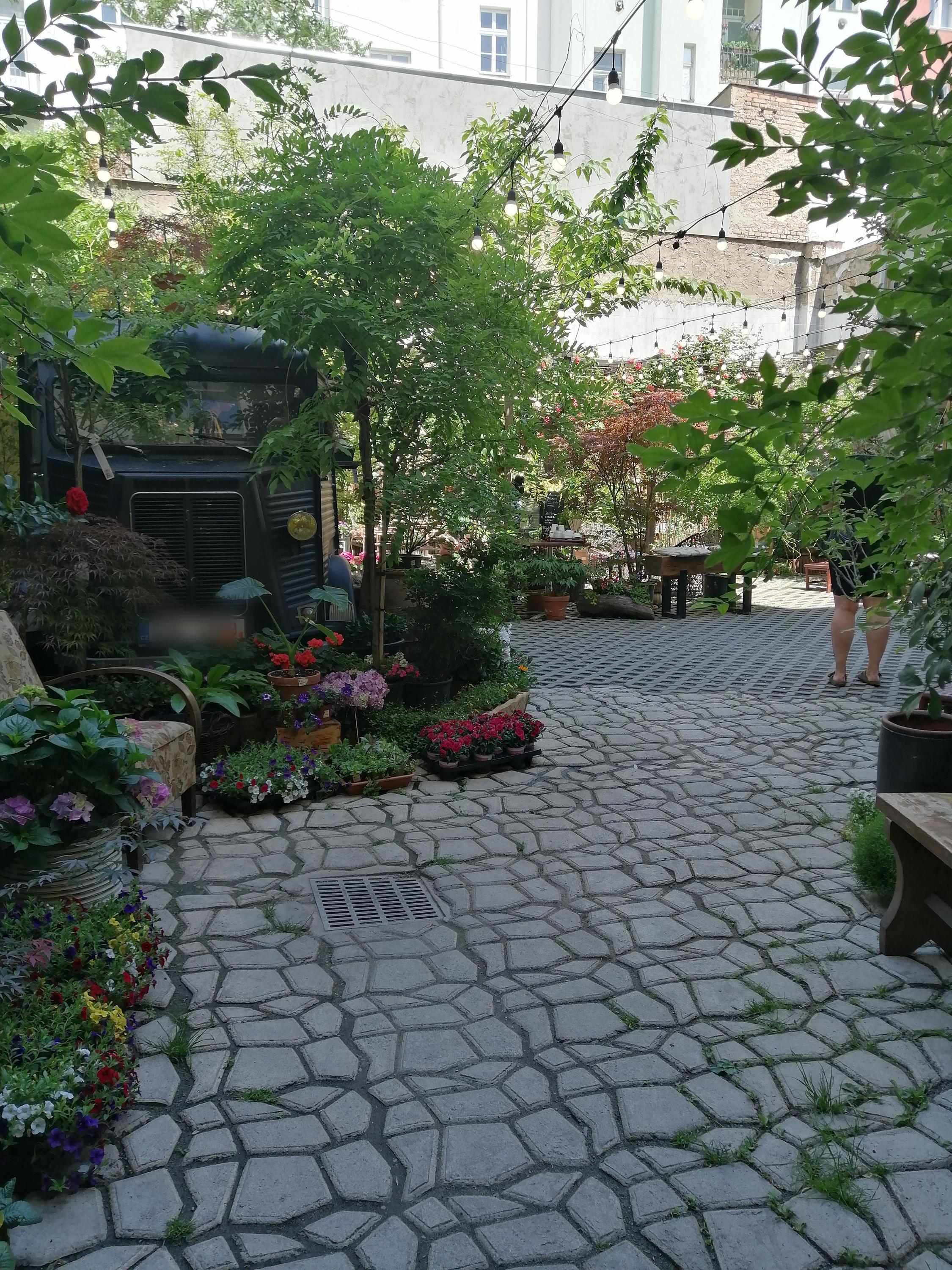 Botanica Coffee Truck foto 5
