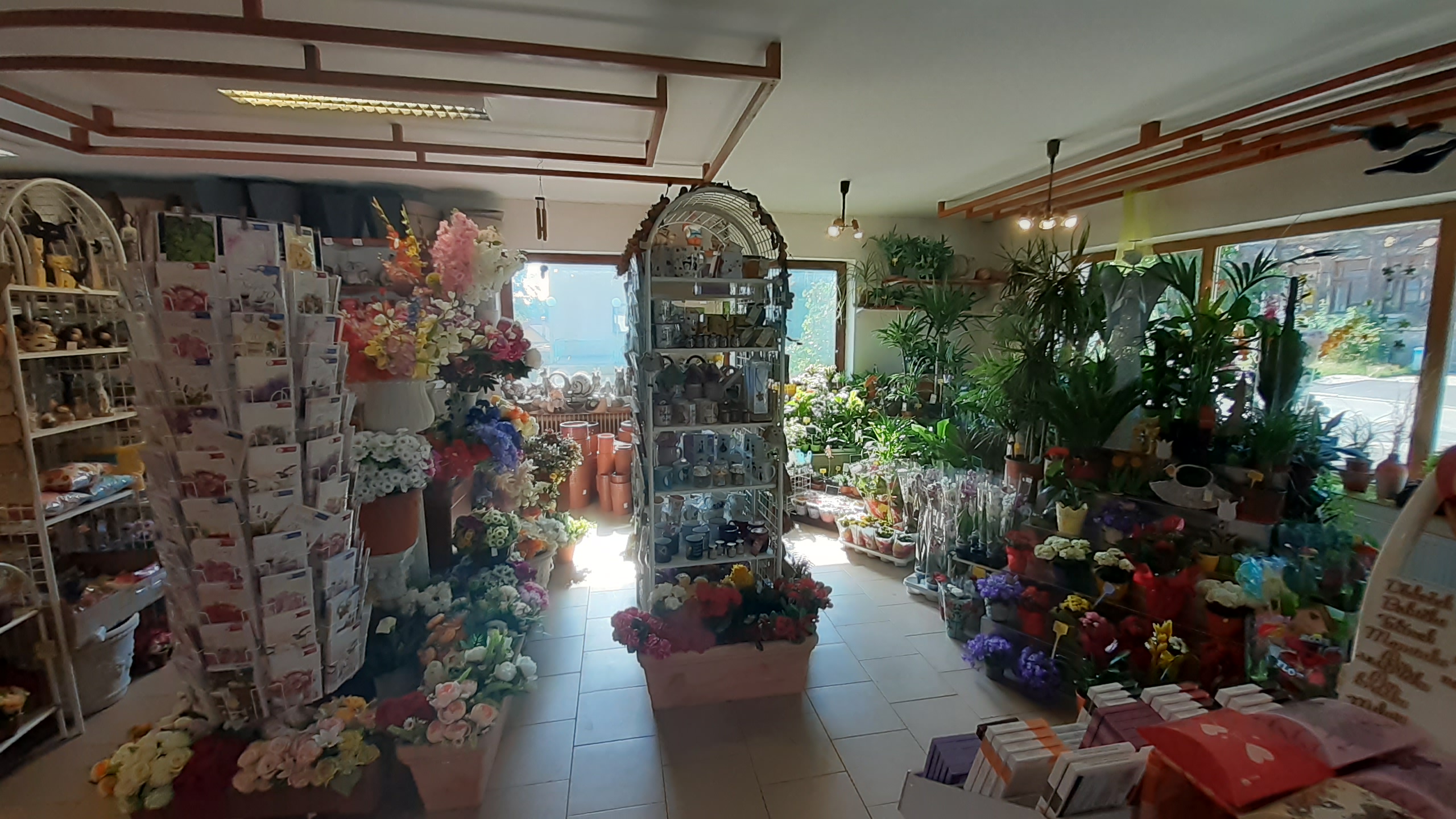 Květoslav Jelínek foto 1