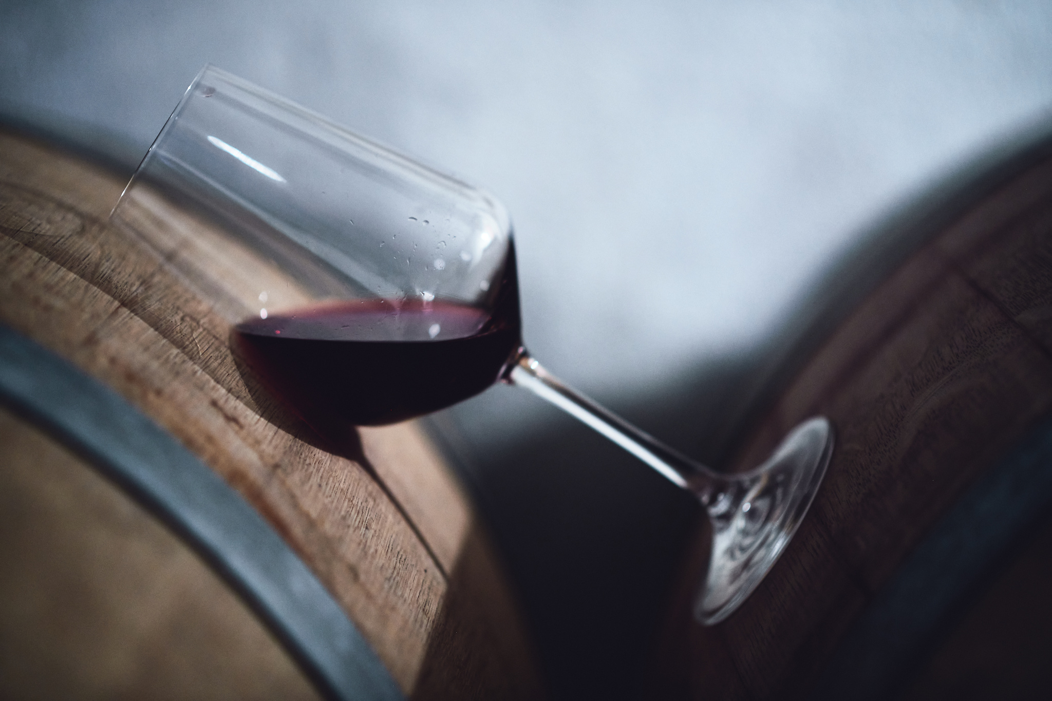 Víno T. Měřínský foto 2